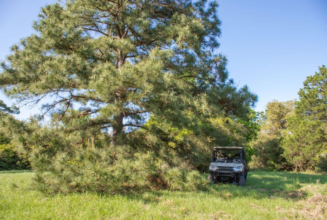 490 John Craft Road Red Rock, TX 78662 - Photo 31 of 40 a view of a house with a yard