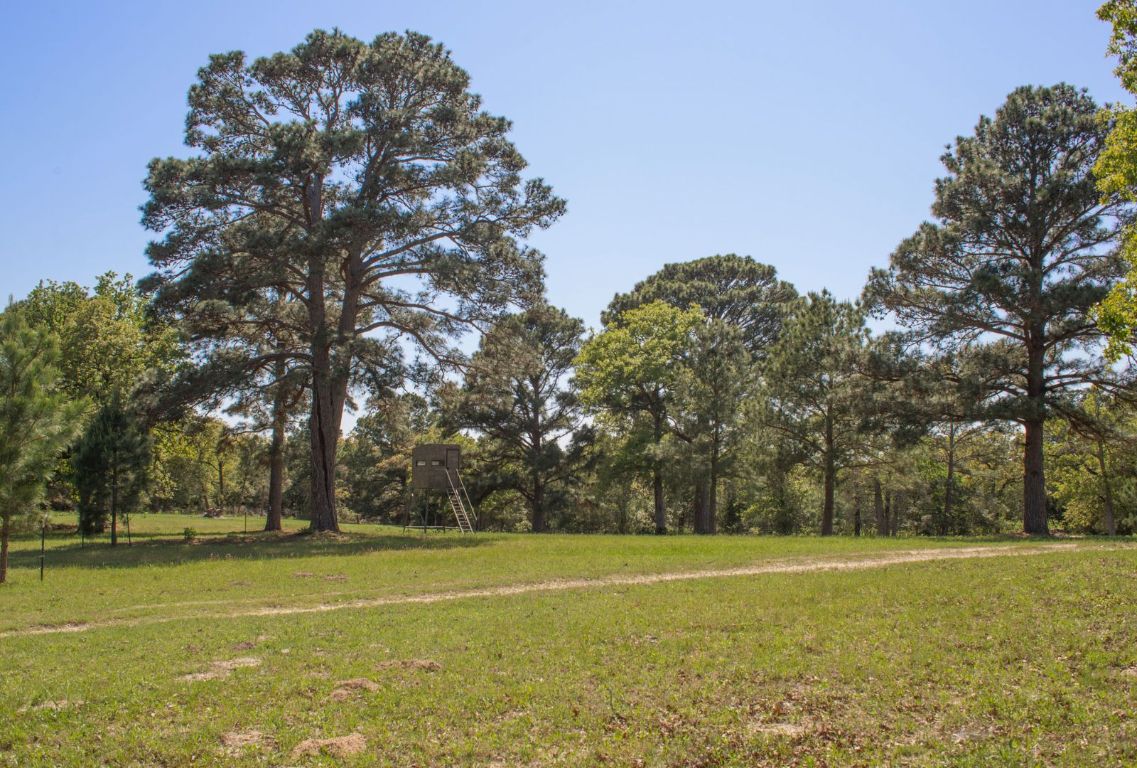 490 John Craft Road Red Rock, TX 78662 - Photo 32 of 40 a view of a tennis ground with large trees