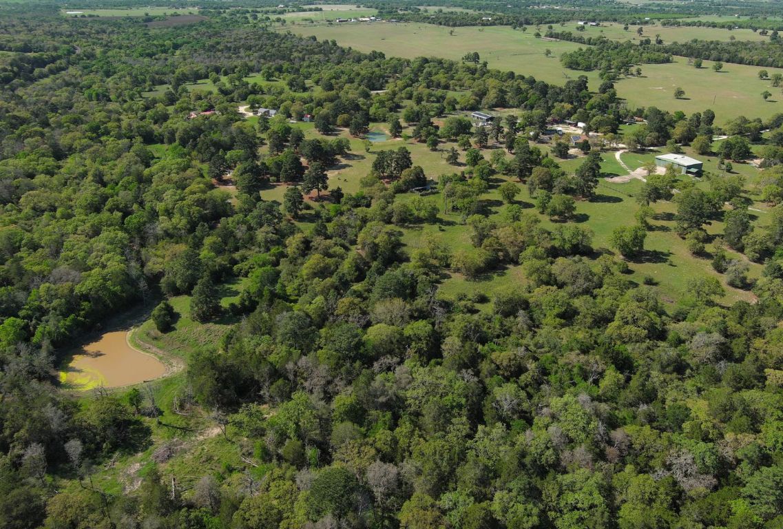 490 John Craft Road Red Rock, TX 78662 - Photo 35 of 40 an aerial view of residential houses with outdoor space and trees