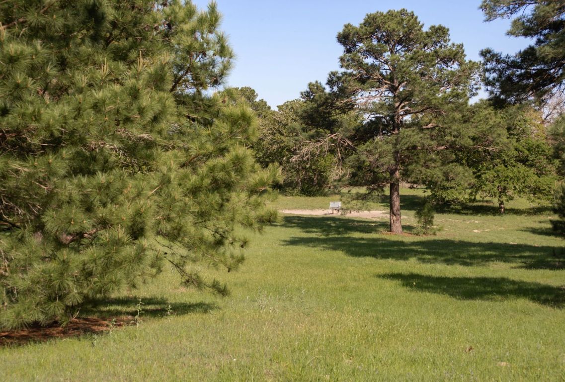490 John Craft Road Red Rock, TX 78662 - Photo 39 of 40 a view of yard with ocean