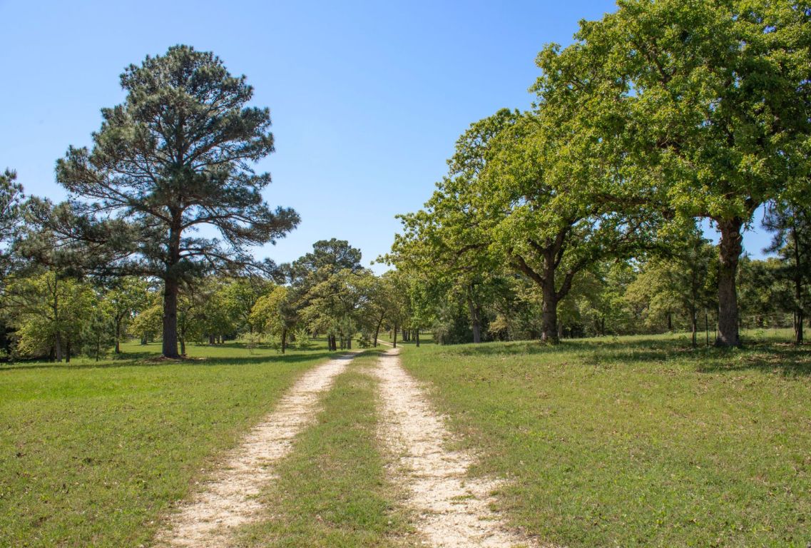 490 John Craft Road Red Rock, TX 78662 - Photo 6 of 40 a view of yard with swimming pool and green space