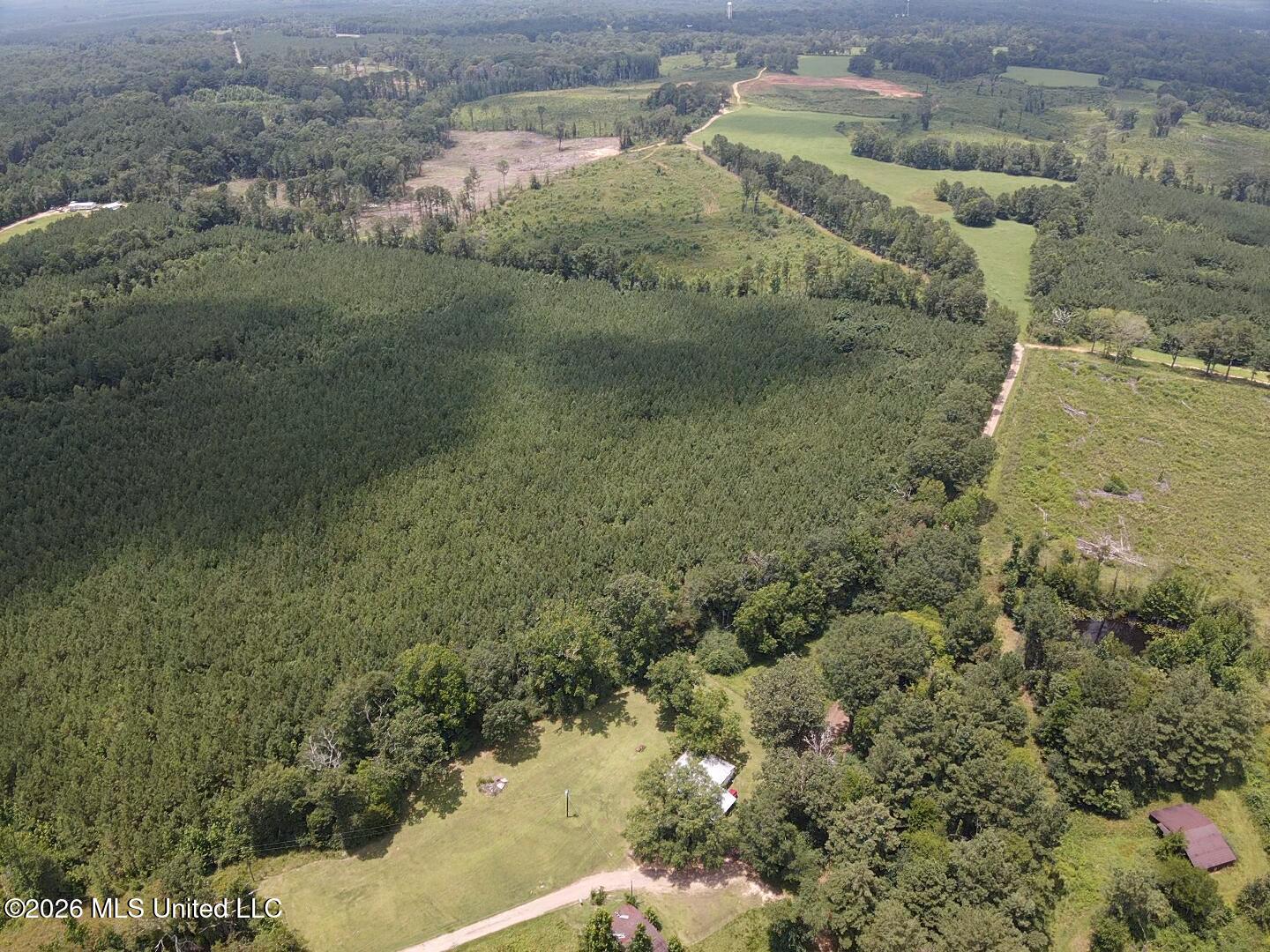 131 B County Road Morton, MS 39117 - Photo 8 of 25 2026-07-05-13-43-20-081