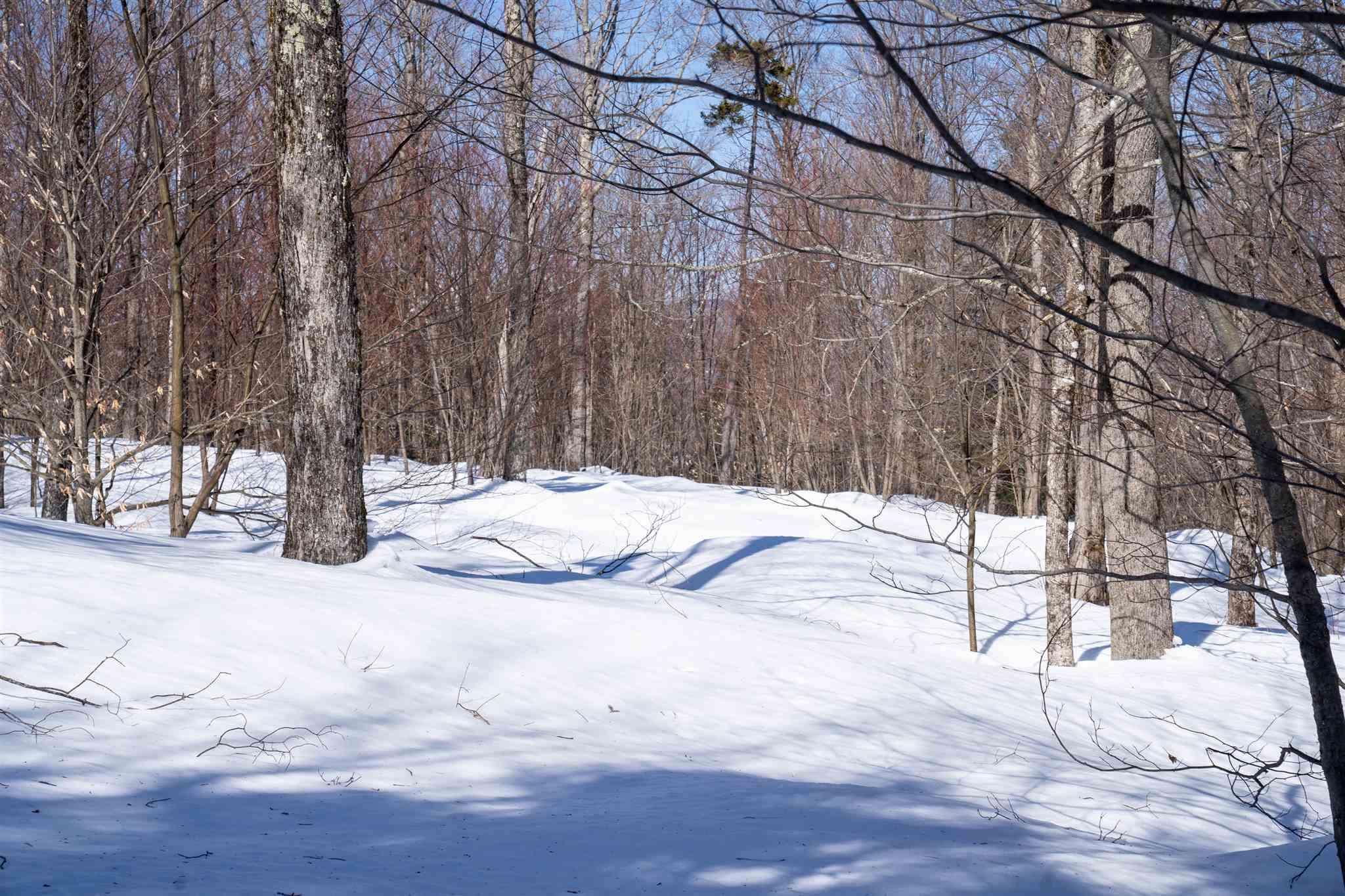 0 Old Ridge Road, Unit LOT 2 Winhall, VT 05340 - Photo 5 of 20