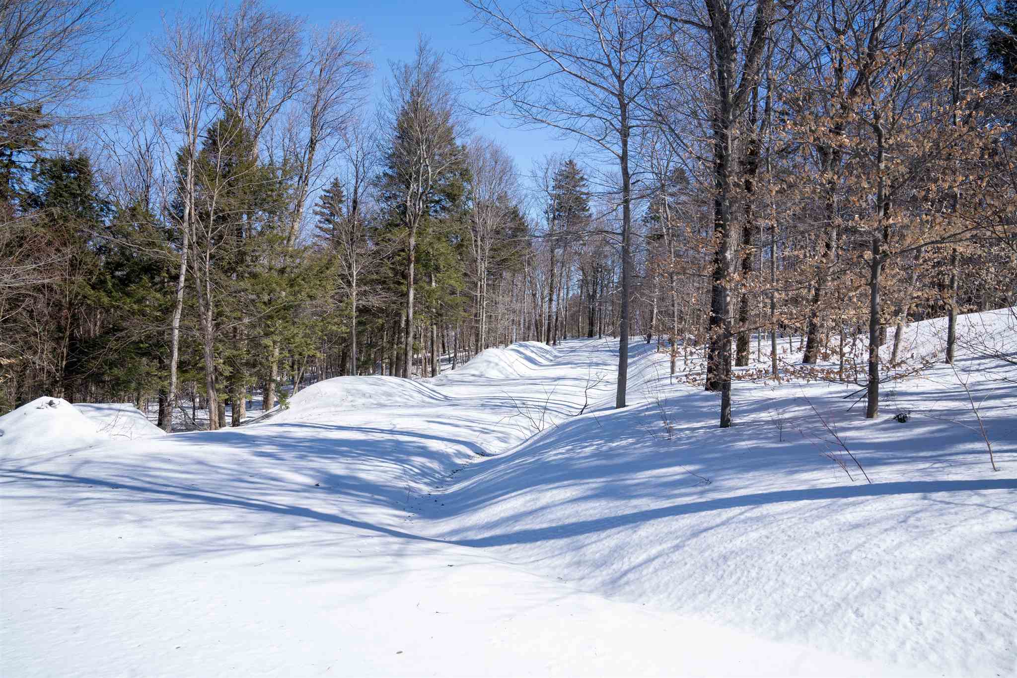 0 Old Ridge Road, Unit LOT 2 Winhall, VT 05340 - Photo 6 of 20