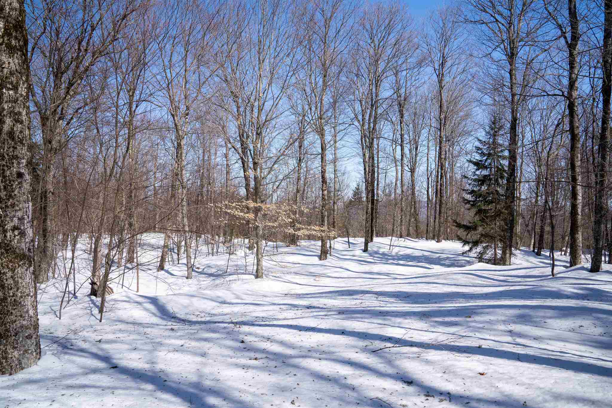 0 Old Ridge Road, Unit LOT 2 Winhall, VT 05340 - Photo 7 of 20