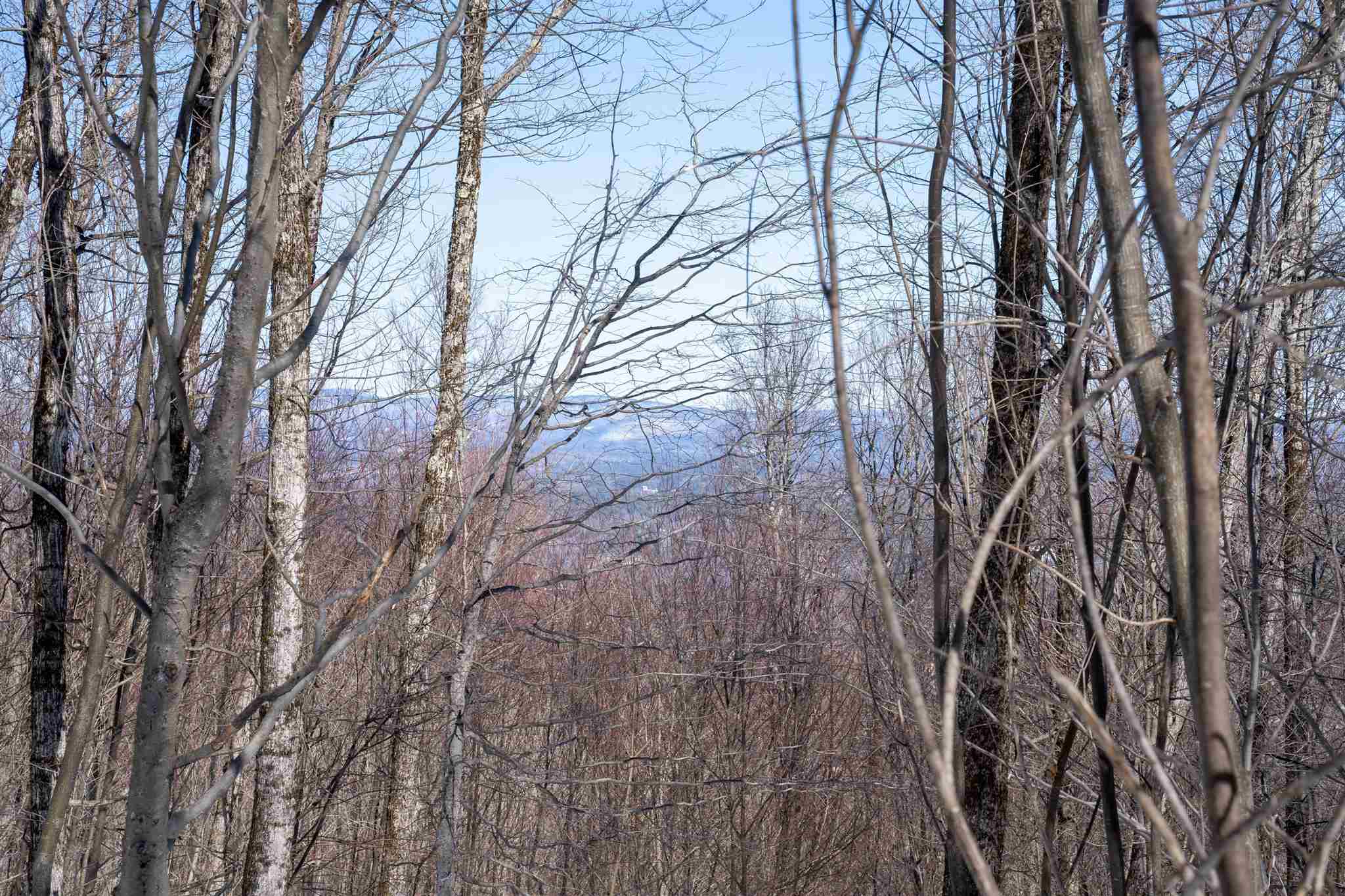 0 Old Ridge Road, Unit LOT 2 Winhall, VT 05340 - Photo 9 of 20