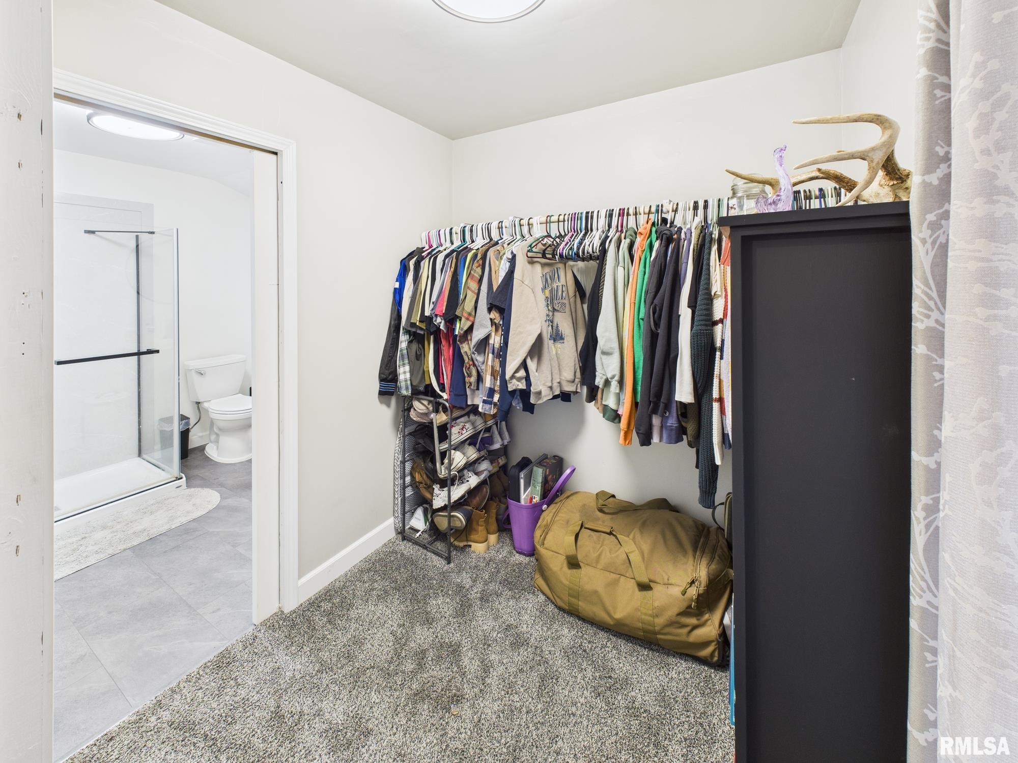 13 Hawthorn Lane Pleasant Plains, IL 62677 - Photo 13 of 33