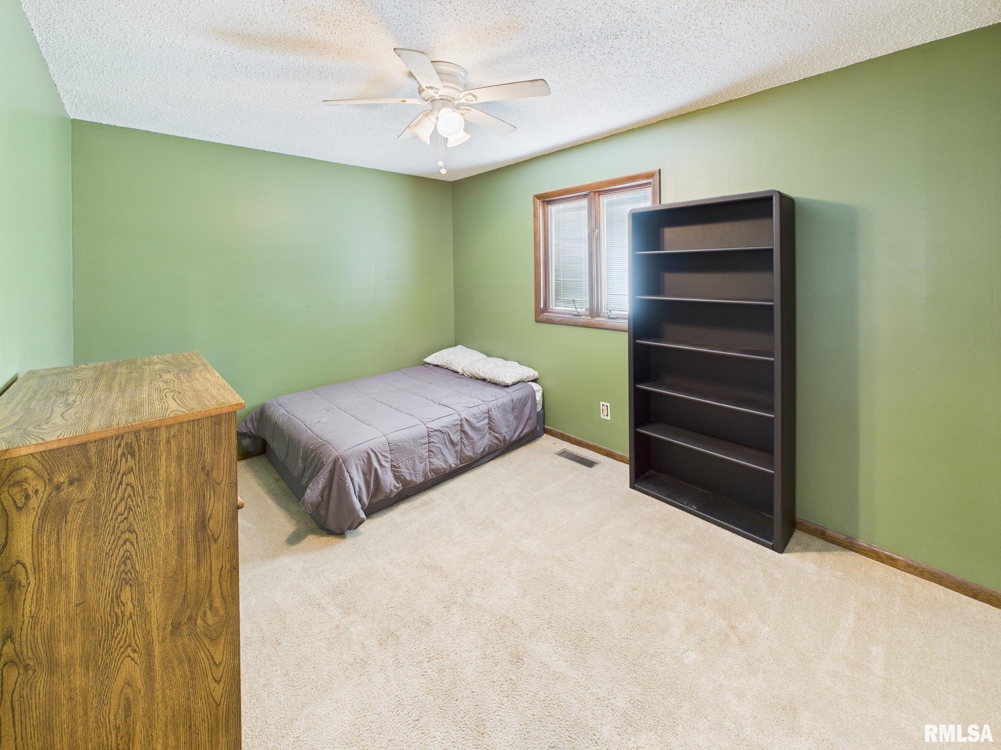 13 Hawthorn Lane Pleasant Plains, IL 62677 - Photo 17 of 33