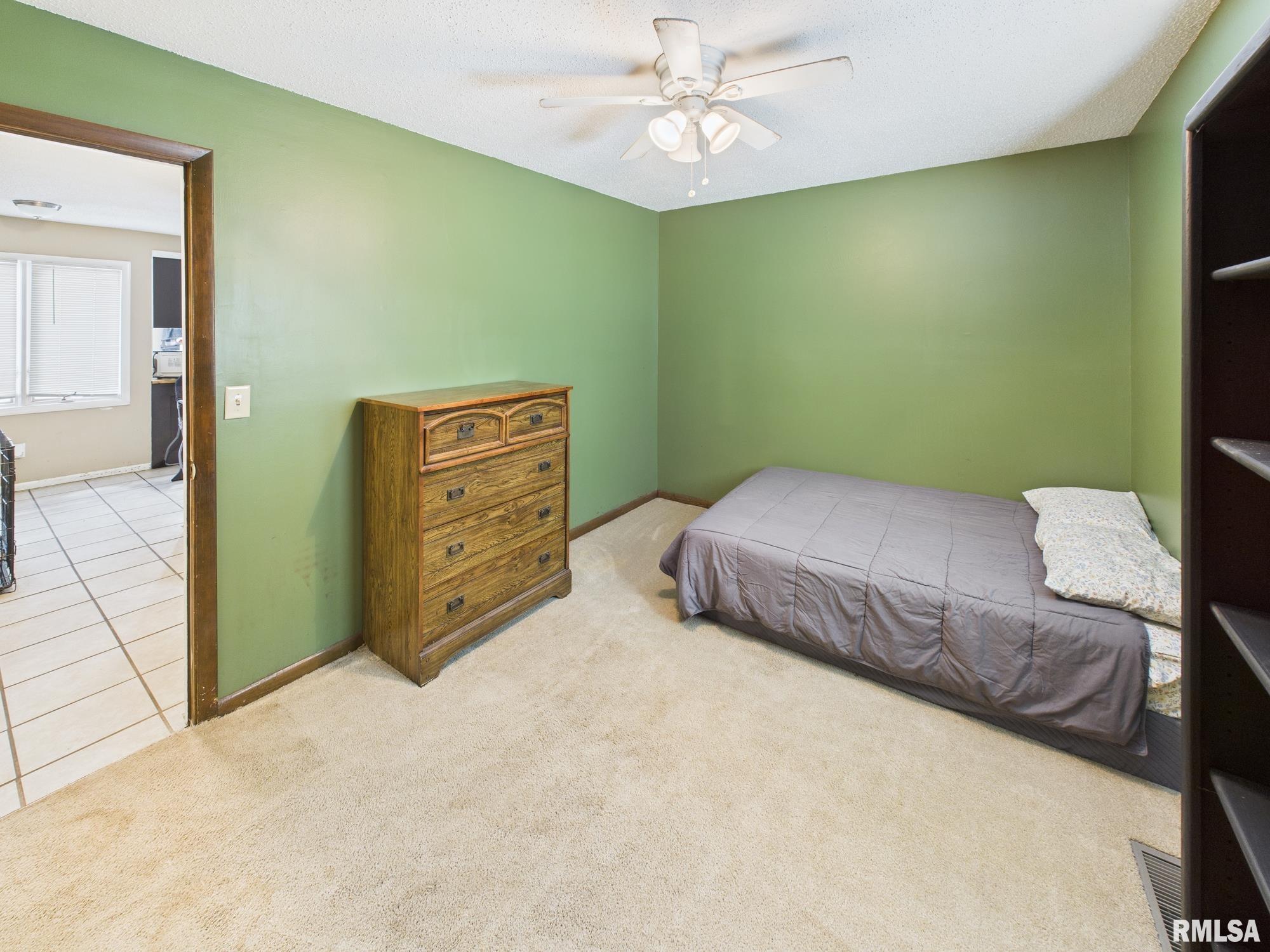 13 Hawthorn Lane Pleasant Plains, IL 62677 - Photo 18 of 33