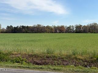 2278 Jonesboro Road Dunn, NC 28334 - Photo 4 of 10
