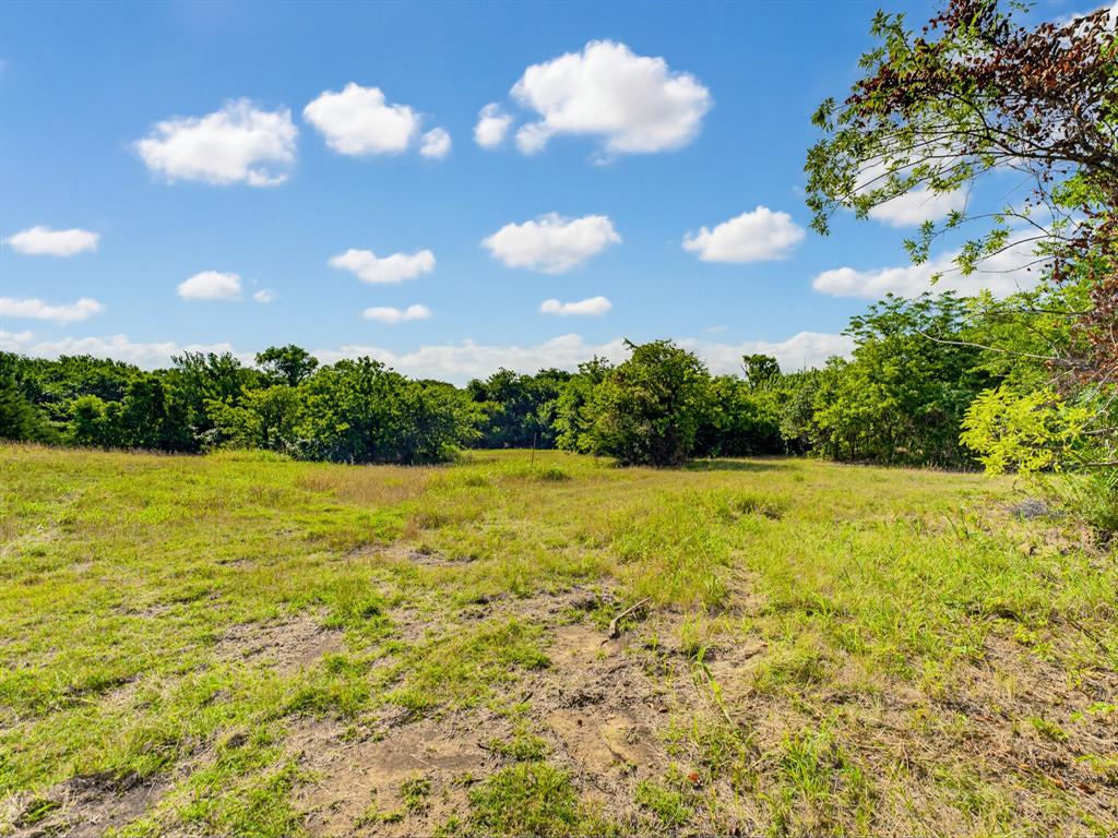 1300 South Trenchard Street Decatur, TX 76234 - Photo 23 of 40 a view of a bunch of plants and trees