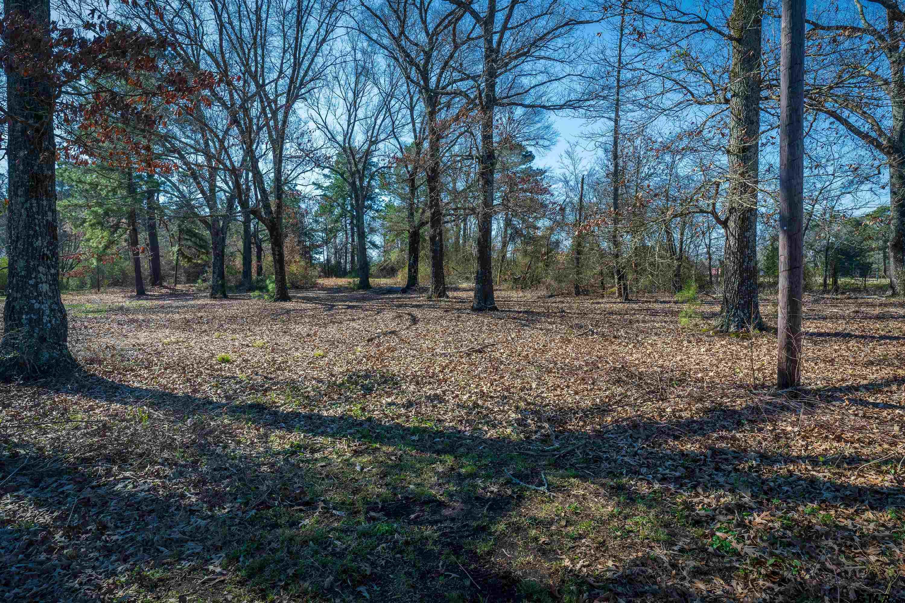 218 Stanley Road Longview, TX 75603 - Photo 29 of 35