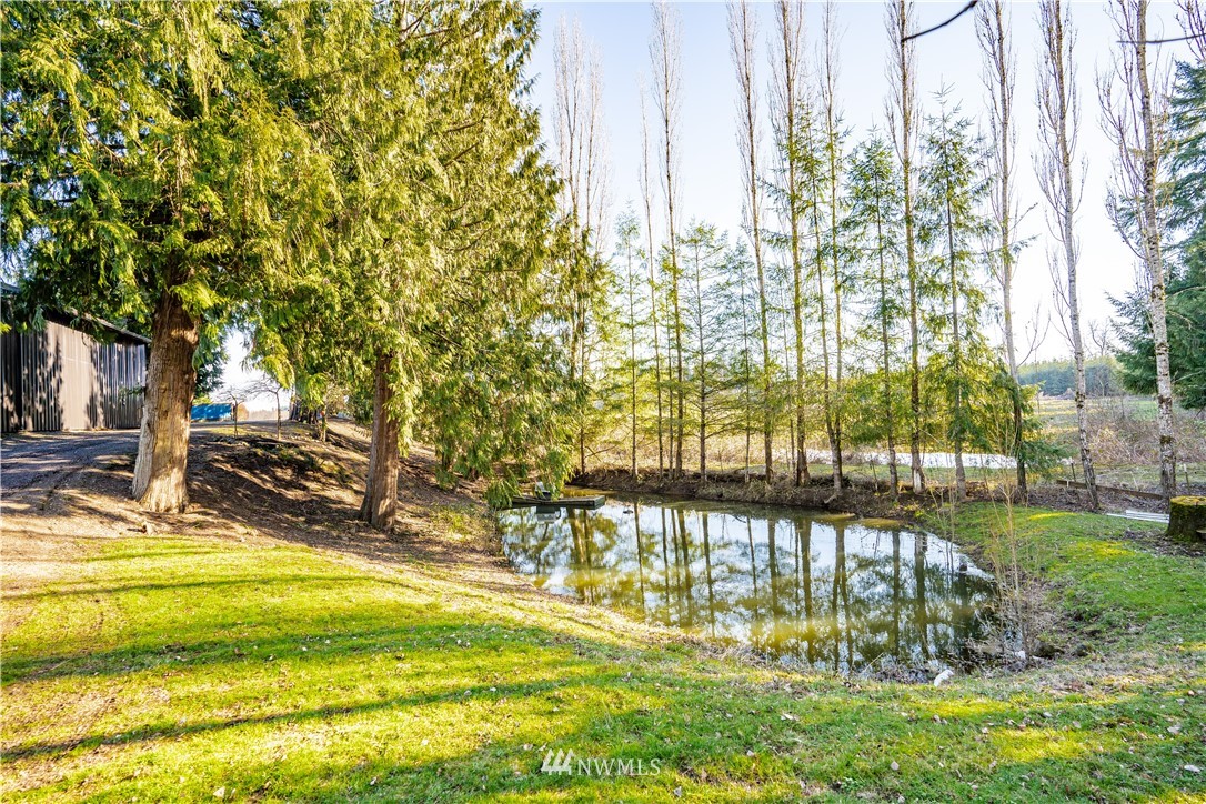 3116 Jackson Highway Chehalis, WA 98532 - Photo 30 of 40 a view of swimming pool with outdoor seating and yard
