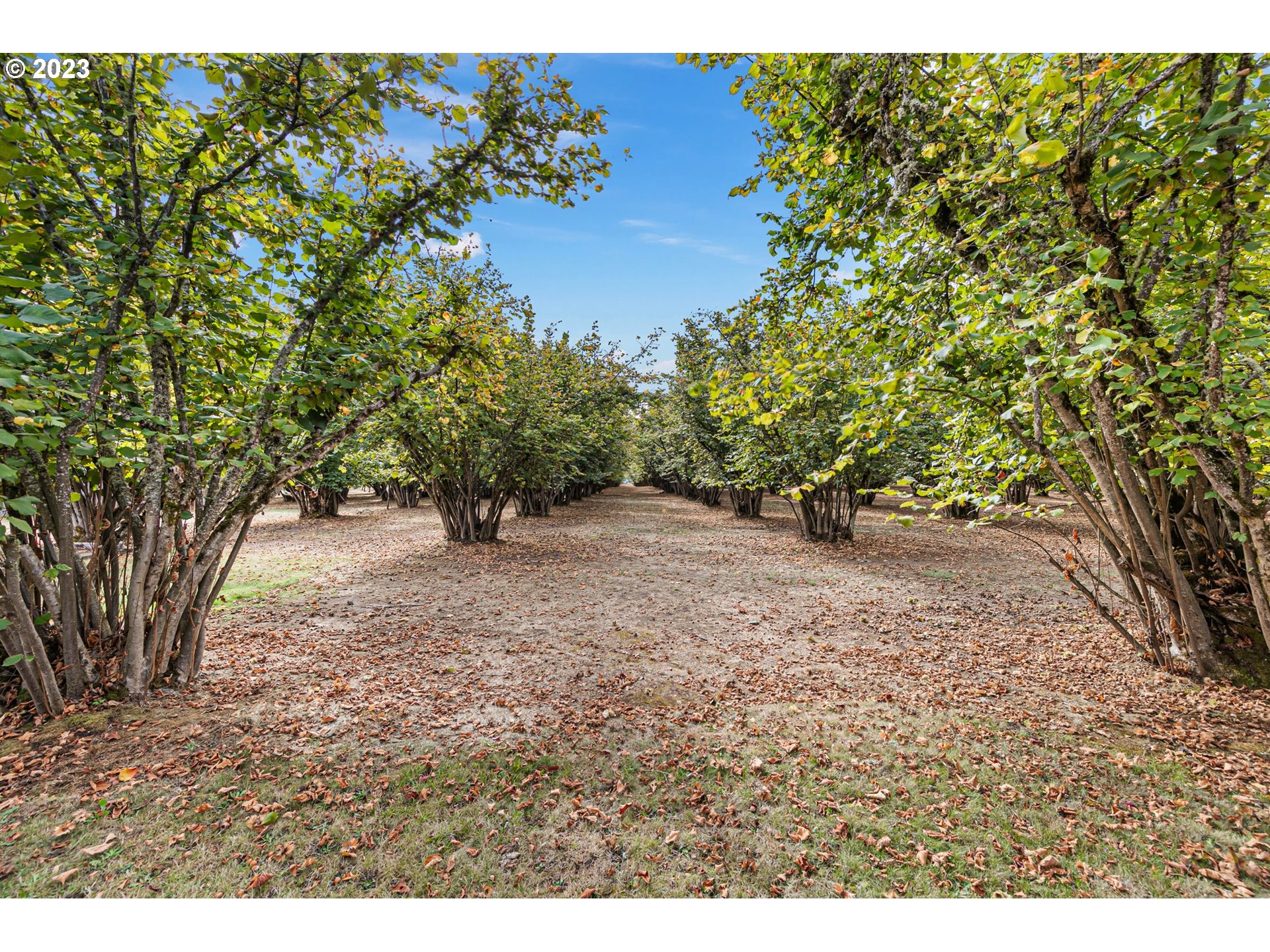 27334 Barker Road Eugene, OR 97402 - Photo 27 of 29 Gallery Image 27