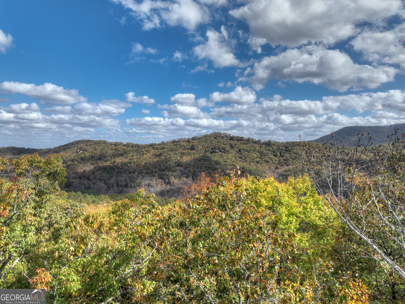 23-AC Weaver Creek Road Blue Ridge, GA 30513 - Photo 20 of 25 Gallery Image 20