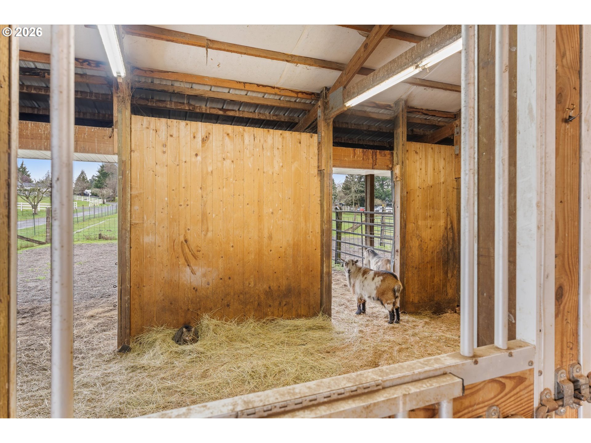 26314 Northeast 37th Avenue Ridgefield, WA 98642 - Photo 36 of 45 Barn