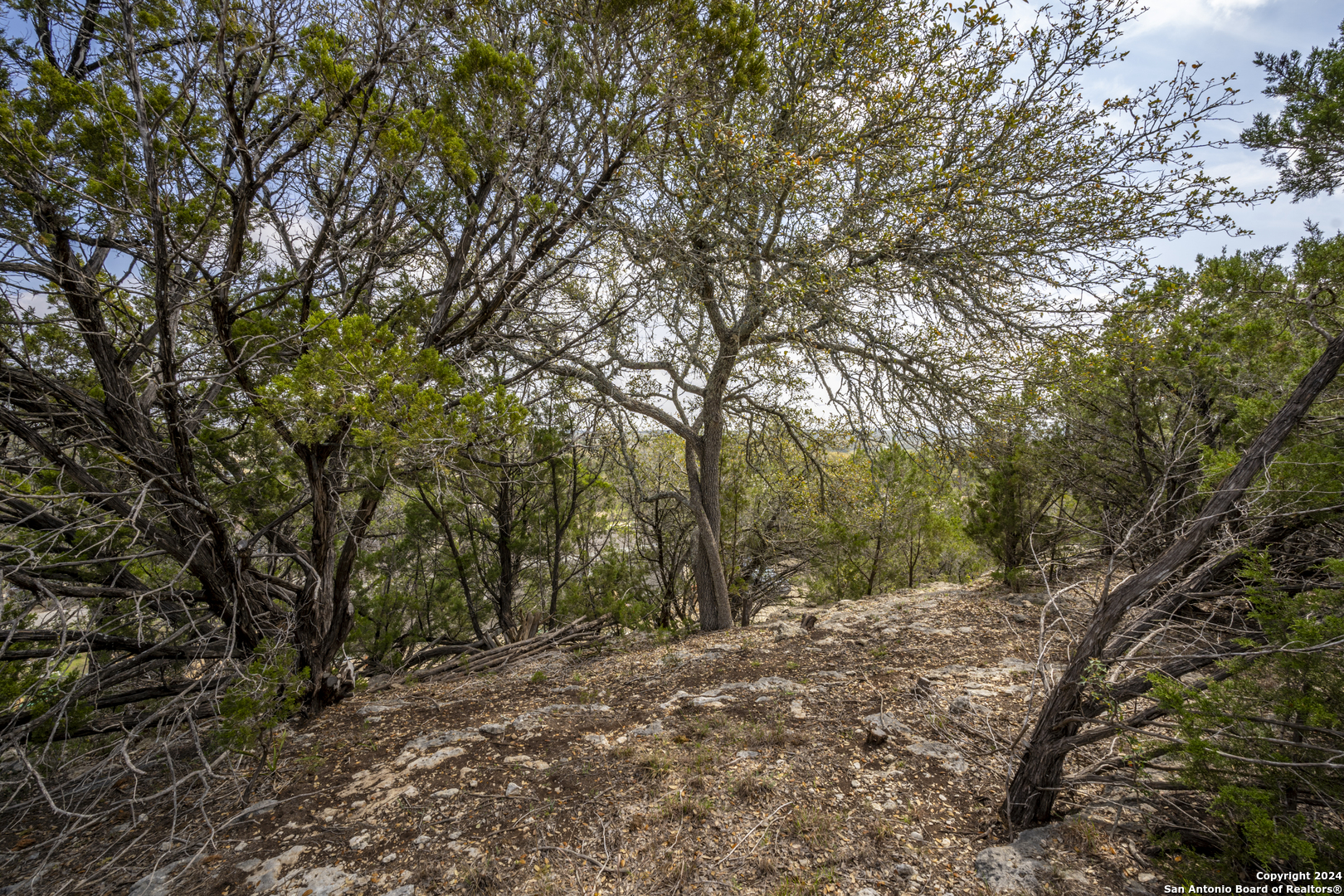 551 Deer Creek Spring Branch, TX 78070 - Photo 11 of 13