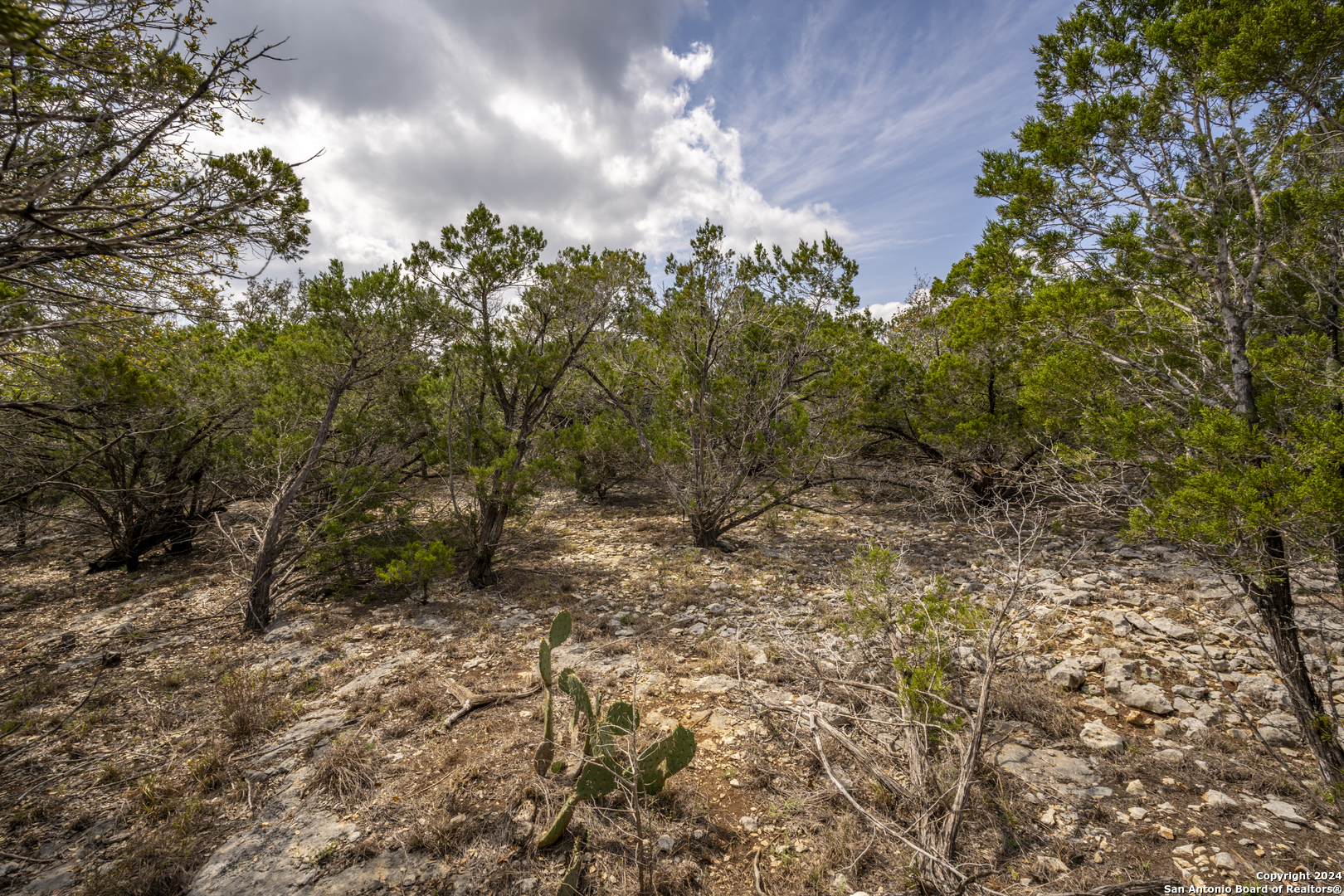 551 Deer Creek Spring Branch, TX 78070 - Photo 12 of 13
