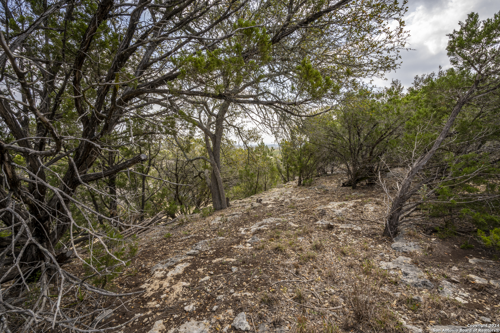 551 Deer Creek Spring Branch, TX 78070 - Photo 13 of 13