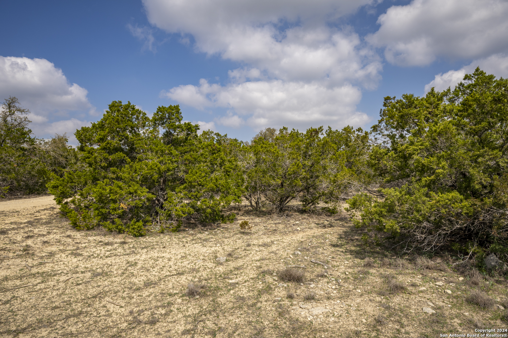 551 Deer Creek Spring Branch, TX 78070 - Photo 3 of 13