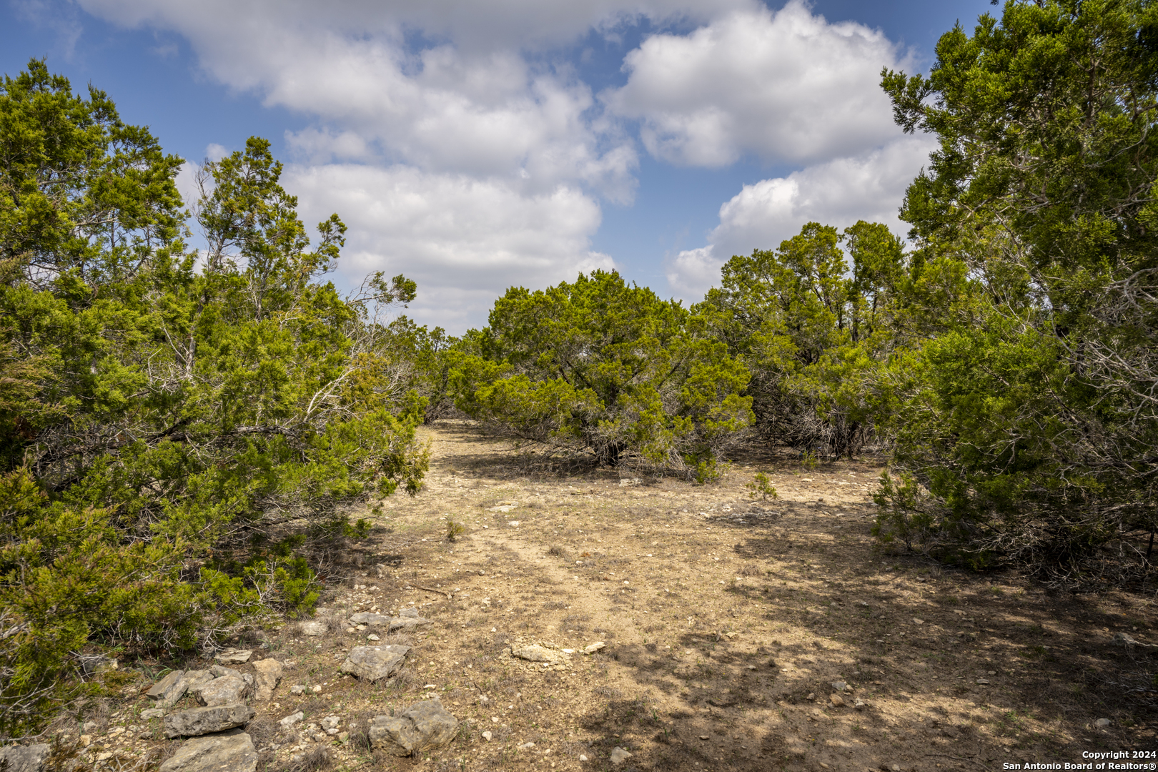 551 Deer Creek Spring Branch, TX 78070 - Photo 4 of 13