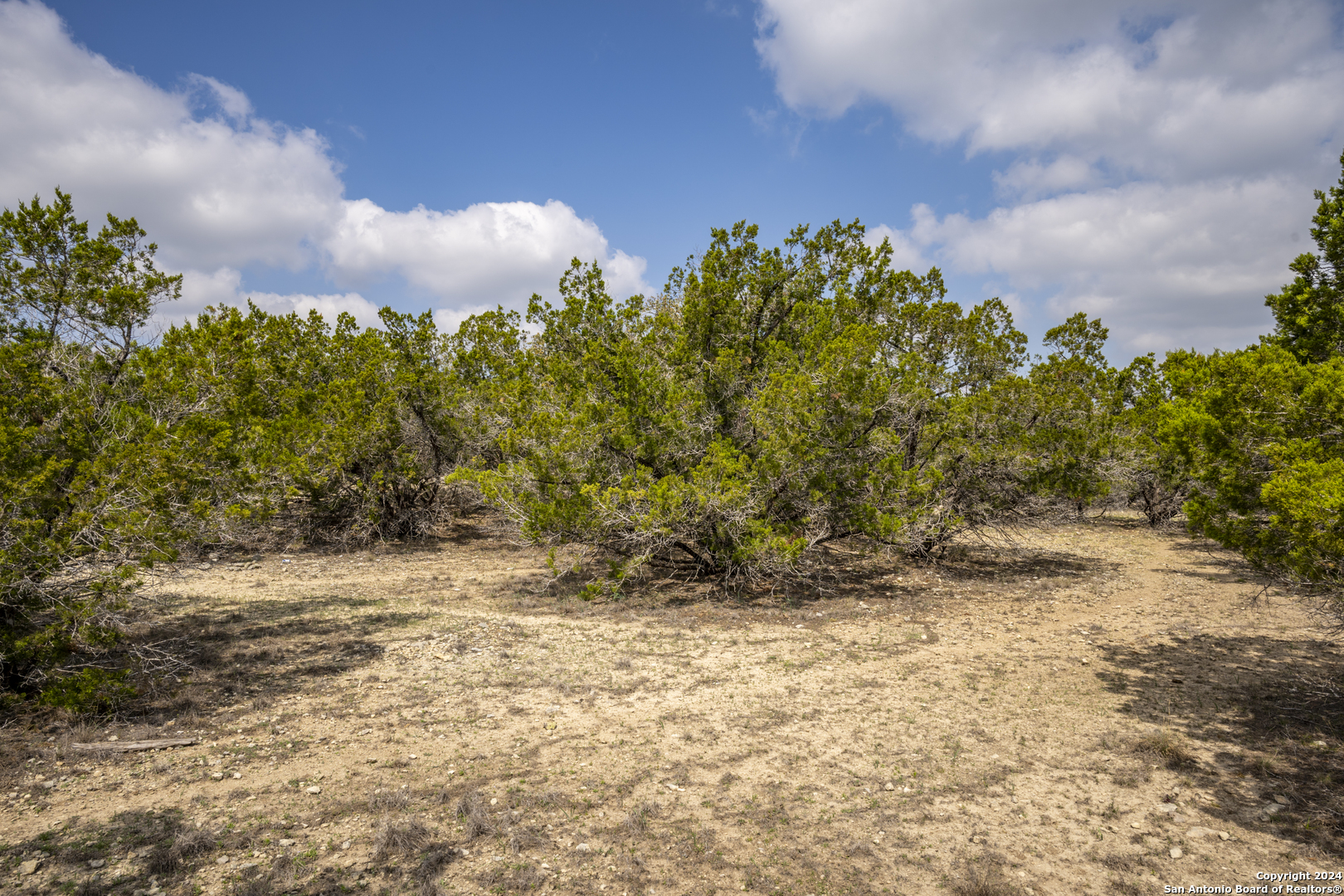 551 Deer Creek Spring Branch, TX 78070 - Photo 5 of 13