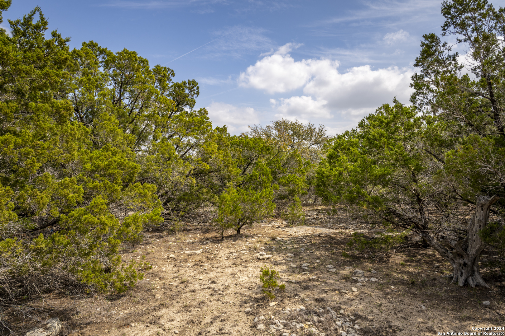 551 Deer Creek Spring Branch, TX 78070 - Photo 6 of 13