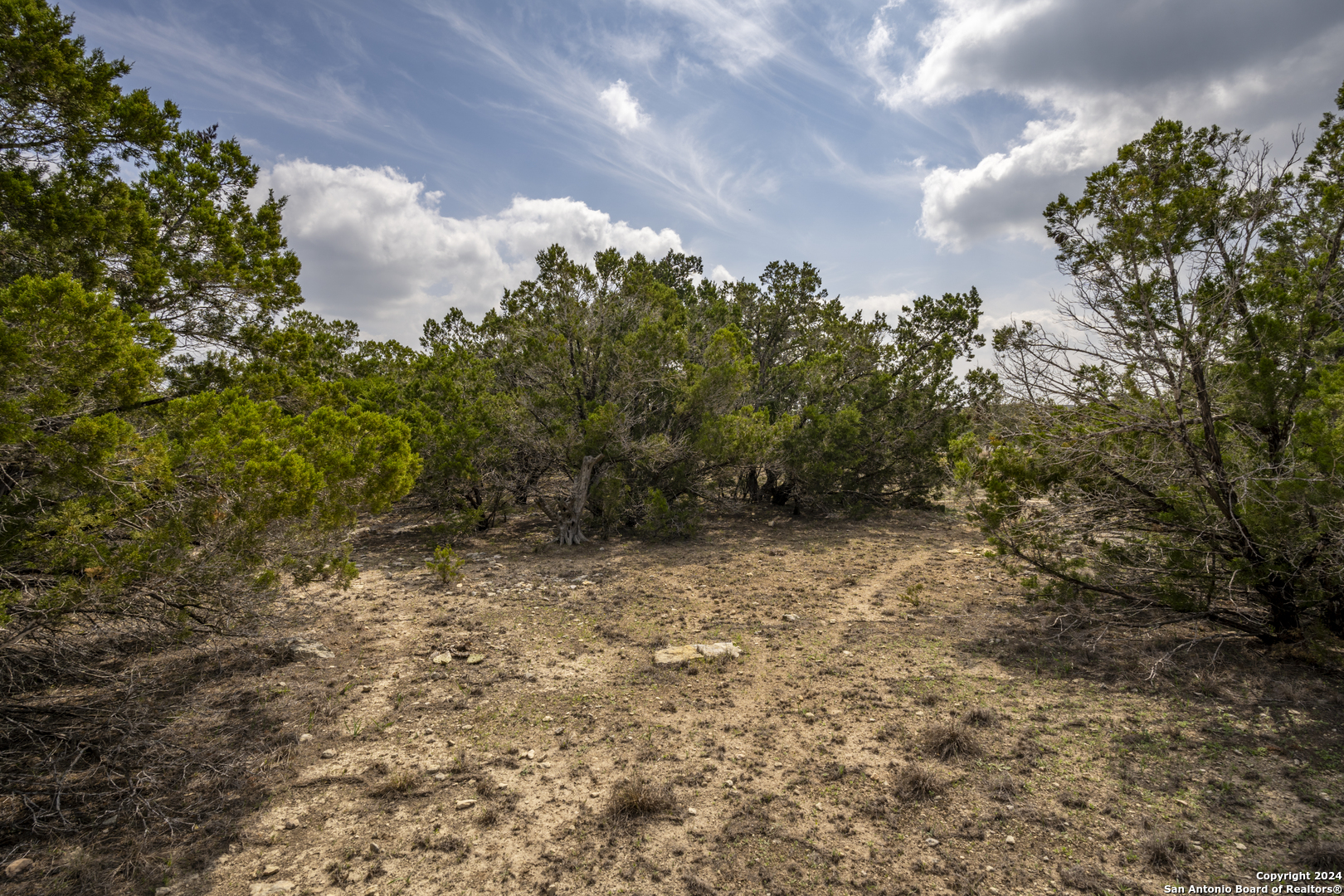 551 Deer Creek Spring Branch, TX 78070 - Photo 7 of 13