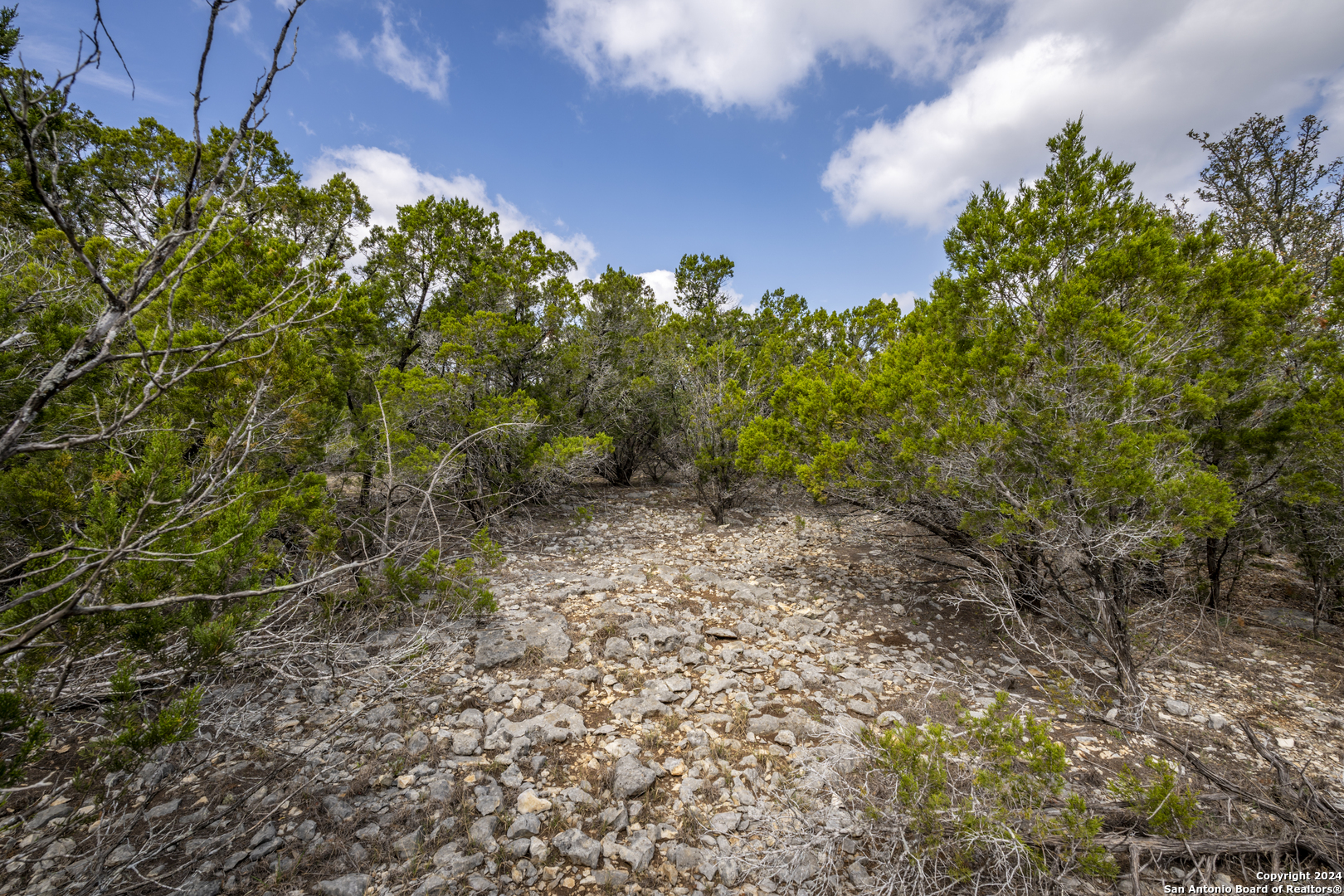 551 Deer Creek Spring Branch, TX 78070 - Photo 9 of 13