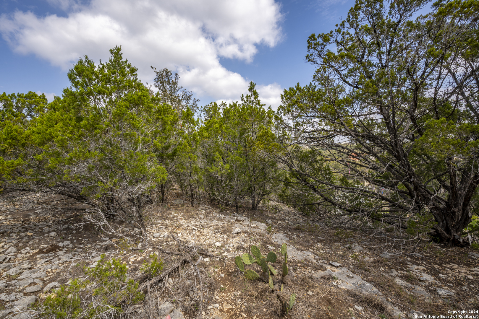 551 Deer Creek Spring Branch, TX 78070 - Photo 10 of 13