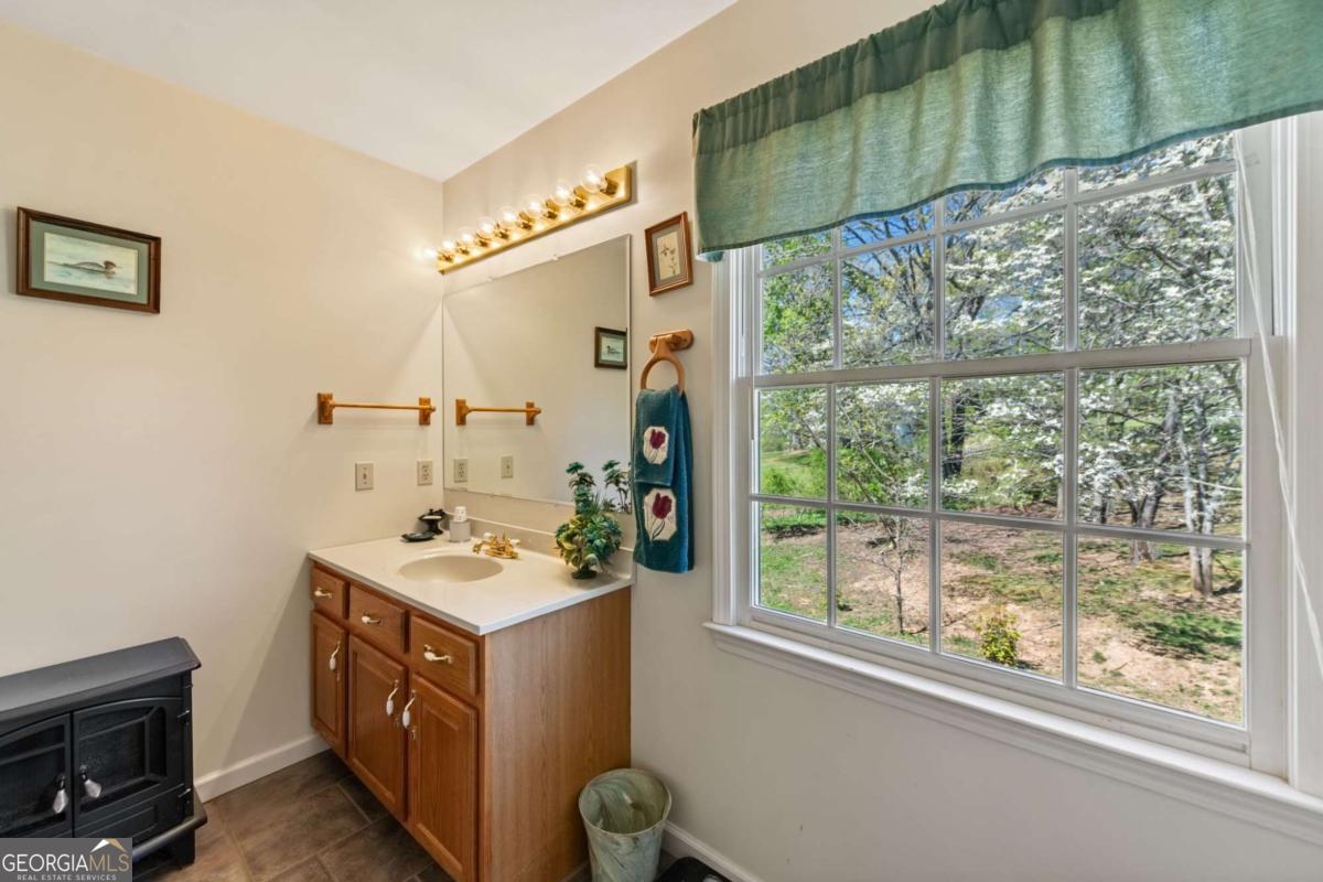 380 La Vista Drive Blue Ridge, GA 30513 - Photo 19 of 28