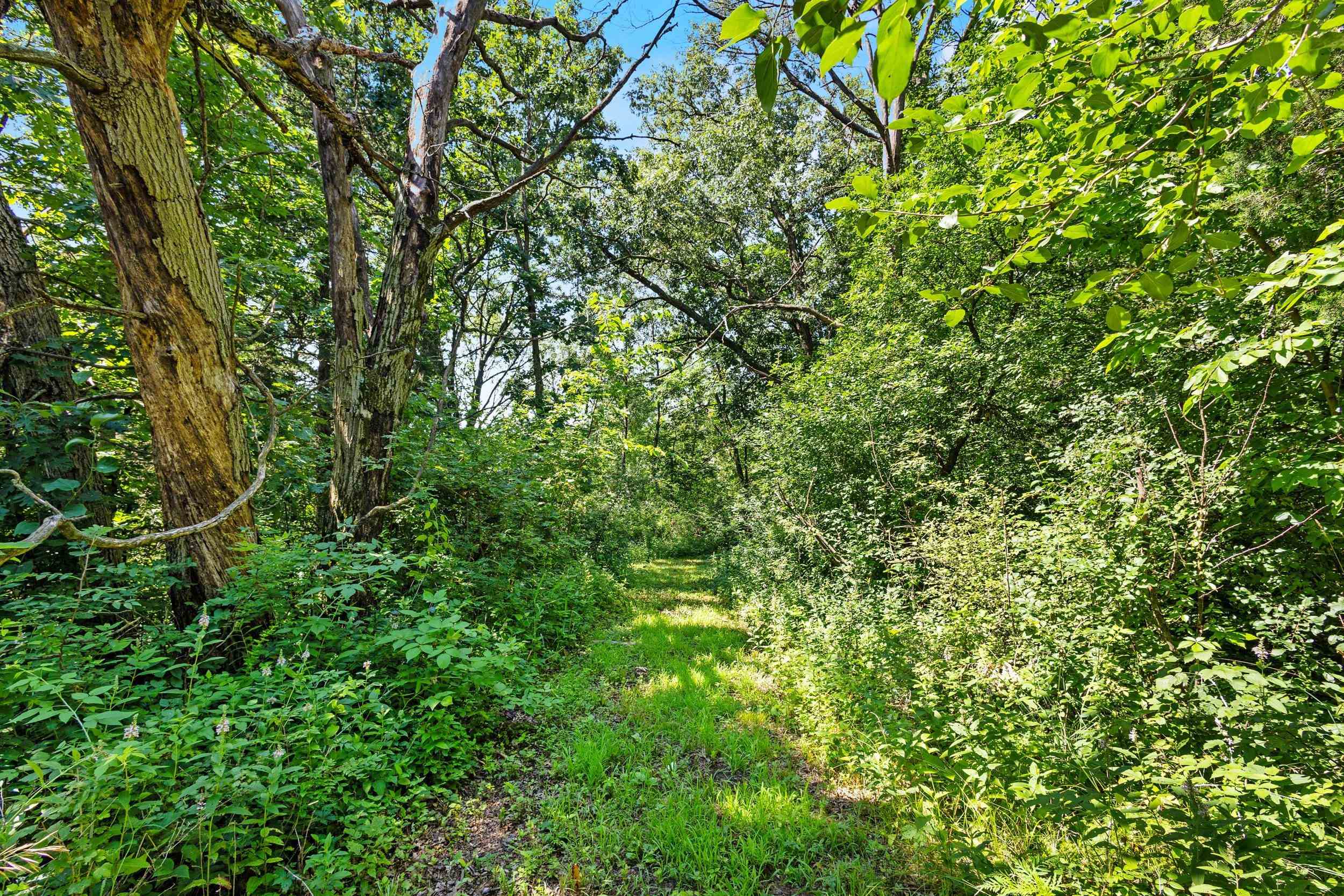 N4636 County Road V Poynette, WI 53955 - Photo 63 of 65