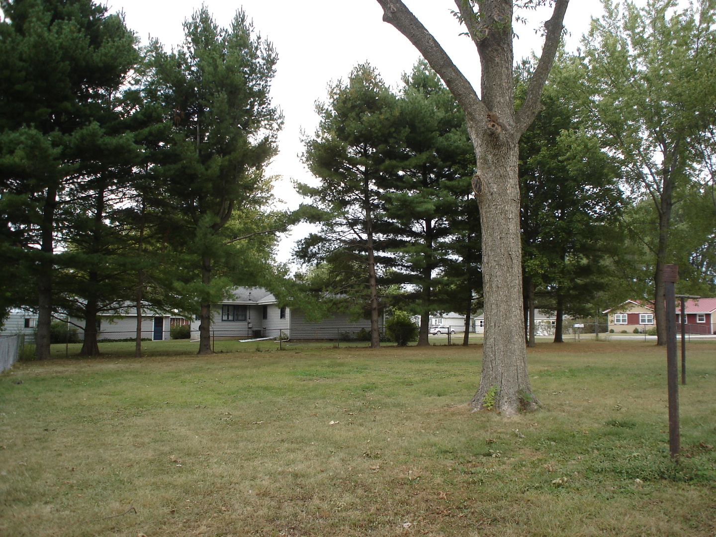 148 Wayne Road Rochelle, IL 61068 - Photo 10 of 17 a view of a tree in front of a yard