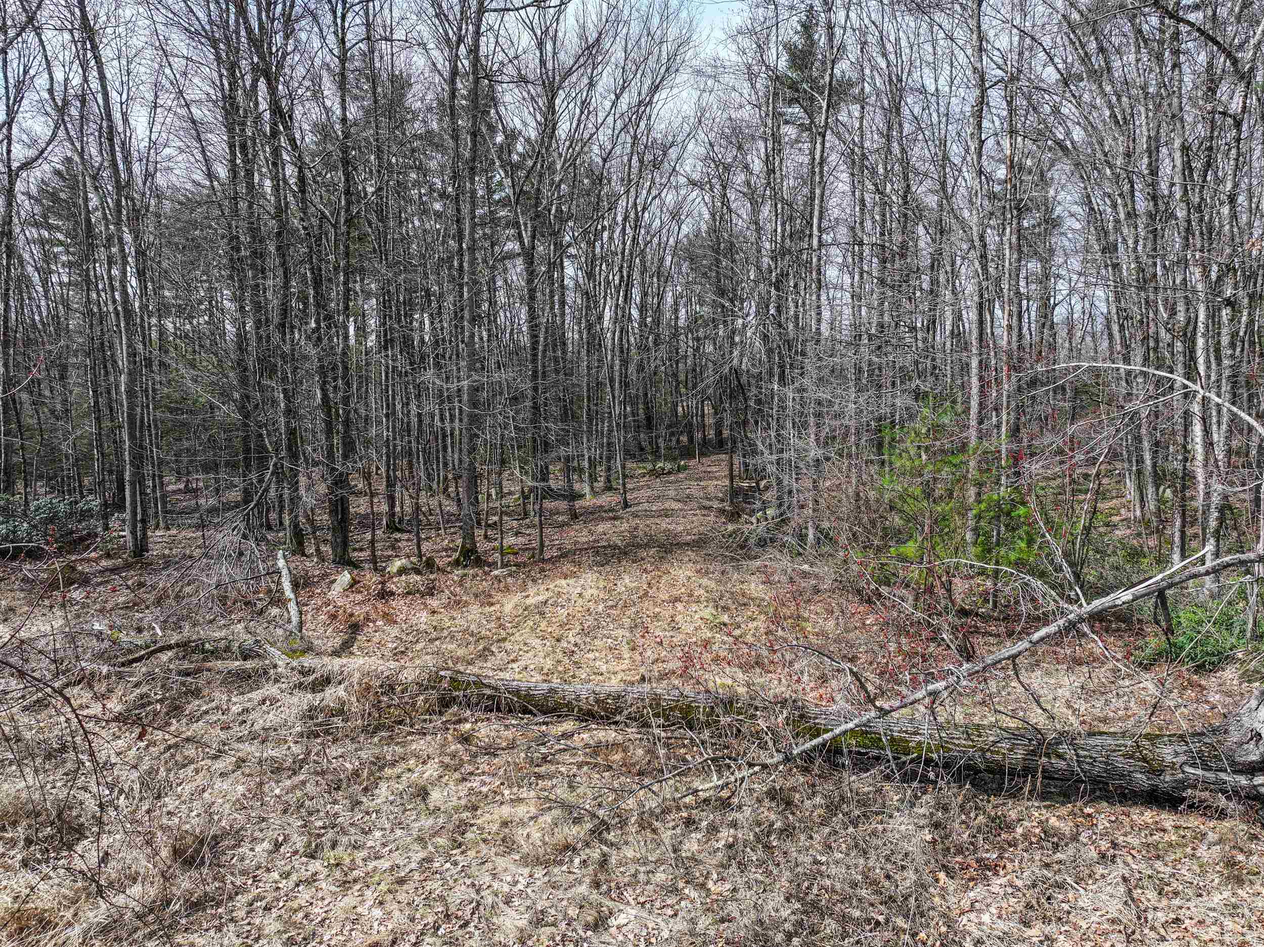 259 Townsend Road Mason, NH 03048 - Photo 29 of 34