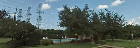 a view of a park that has large trees and a large tree