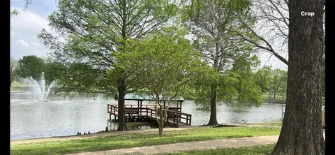 a view of a park with large trees