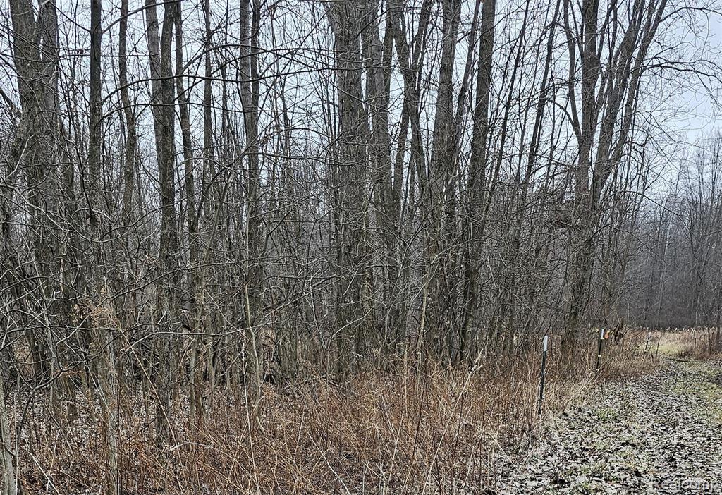 0 Chase Lake Road Fowlerville, MI 48836 - Photo 1 of 3