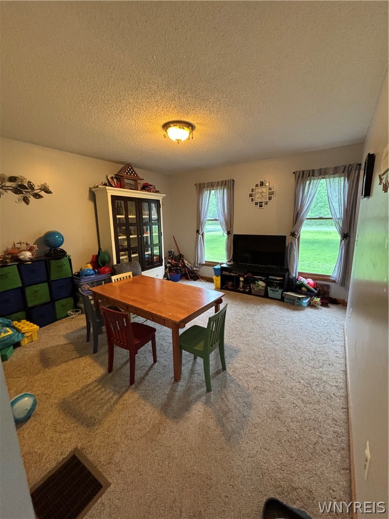 8474 Seaman Road Hartland, NY 14067 - Photo 12 of 50
