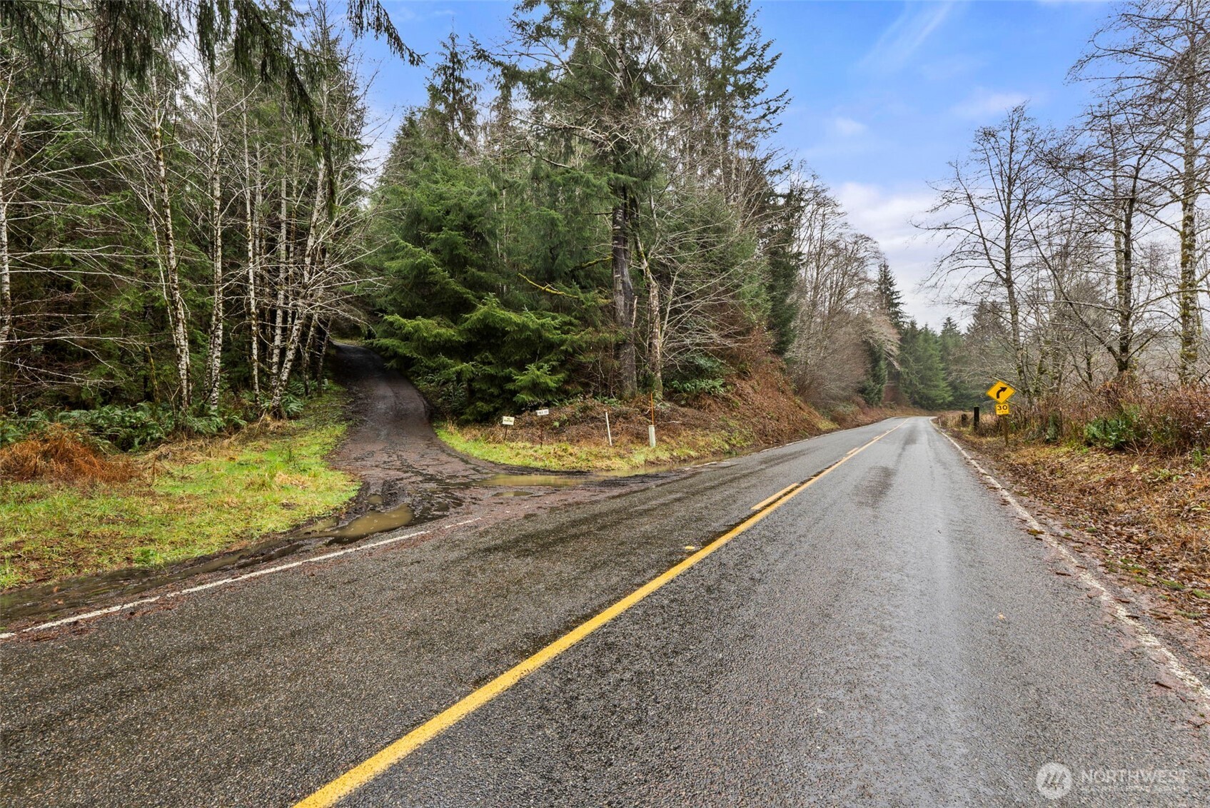 233 Smith Creek Road Raymond, WA 98577 - Photo 11 of 19 a view of a yard with large trees