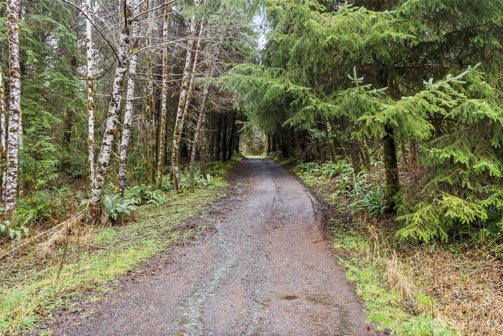 233 Smith Creek Road Raymond, WA 98577 - Photo 13 of 19 a pathway of a yard