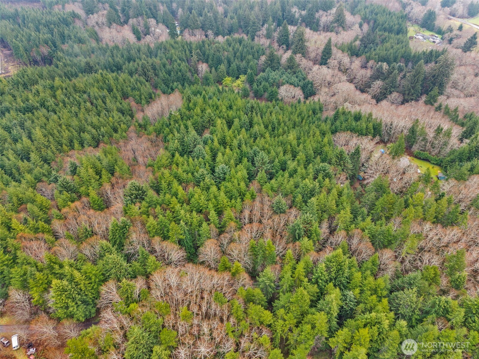 233 Smith Creek Road Raymond, WA 98577 - Photo 16 of 19 a picture of street view