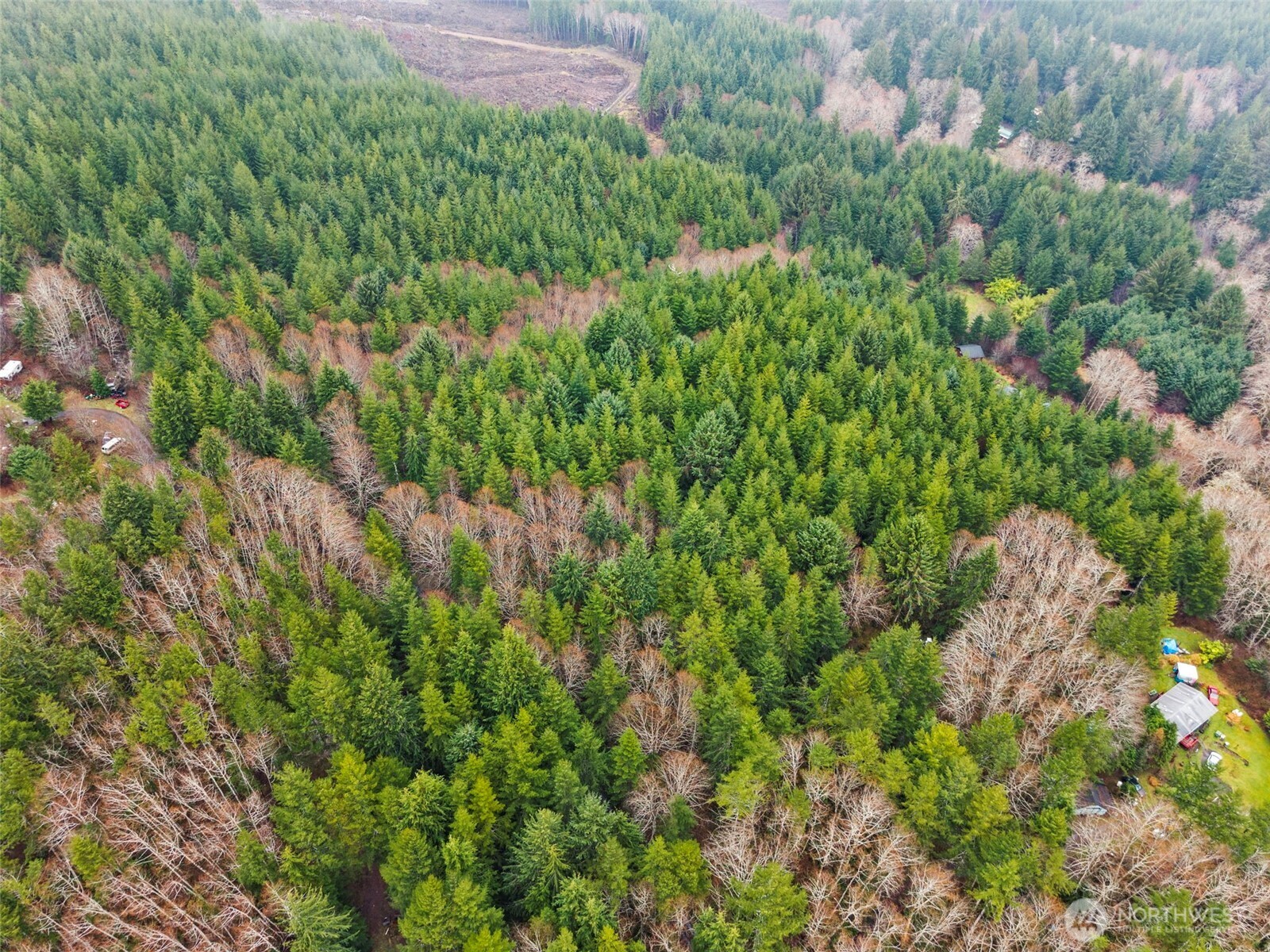 233 Smith Creek Road Raymond, WA 98577 - Photo 18 of 19