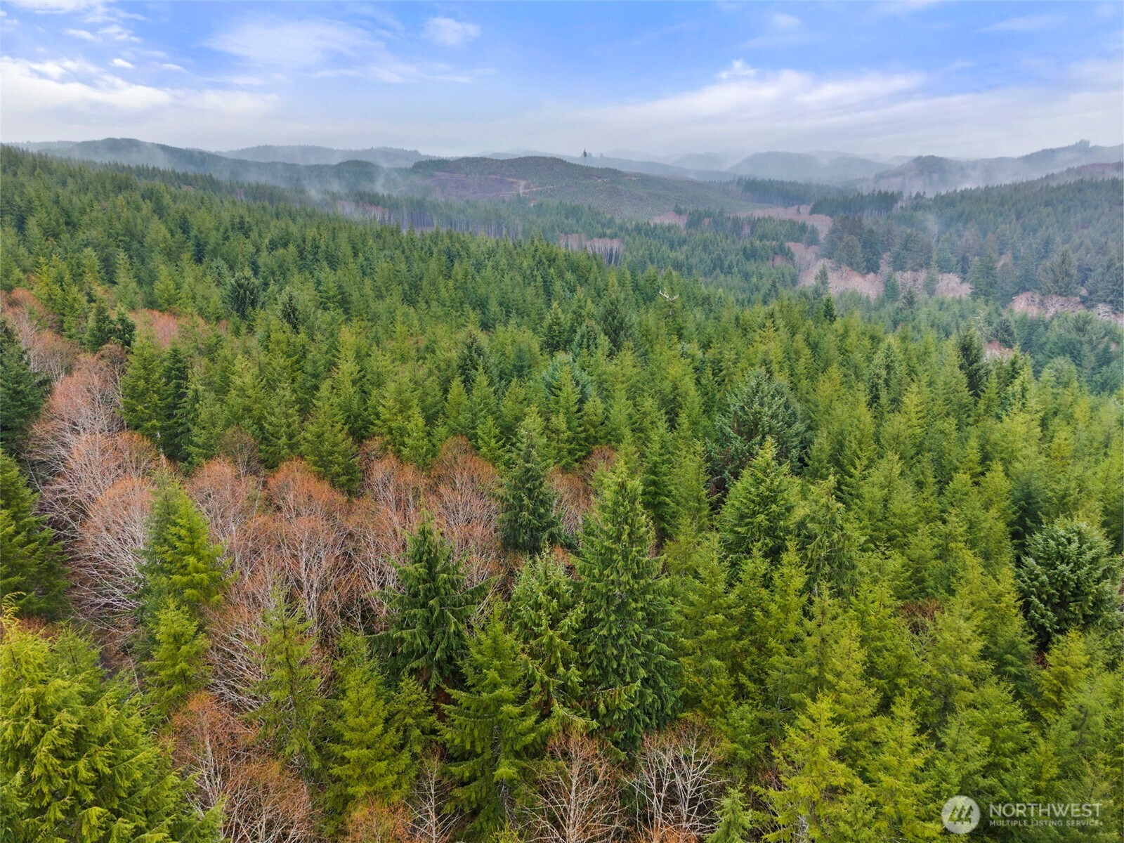 233 Smith Creek Road Raymond, WA 98577 - Photo 19 of 19 a view of a green field with lots of bushes