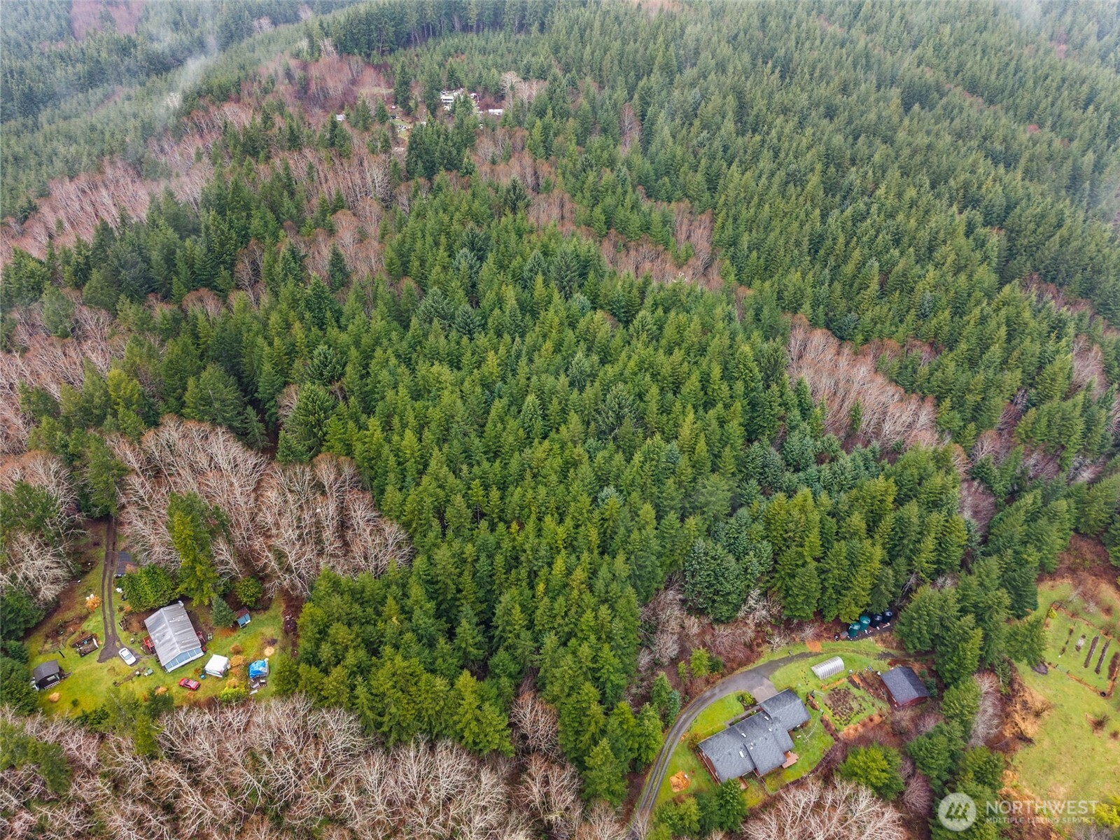 233 Smith Creek Road Raymond, WA 98577 - Photo 3 of 19 a view of a garden with plants and flowers