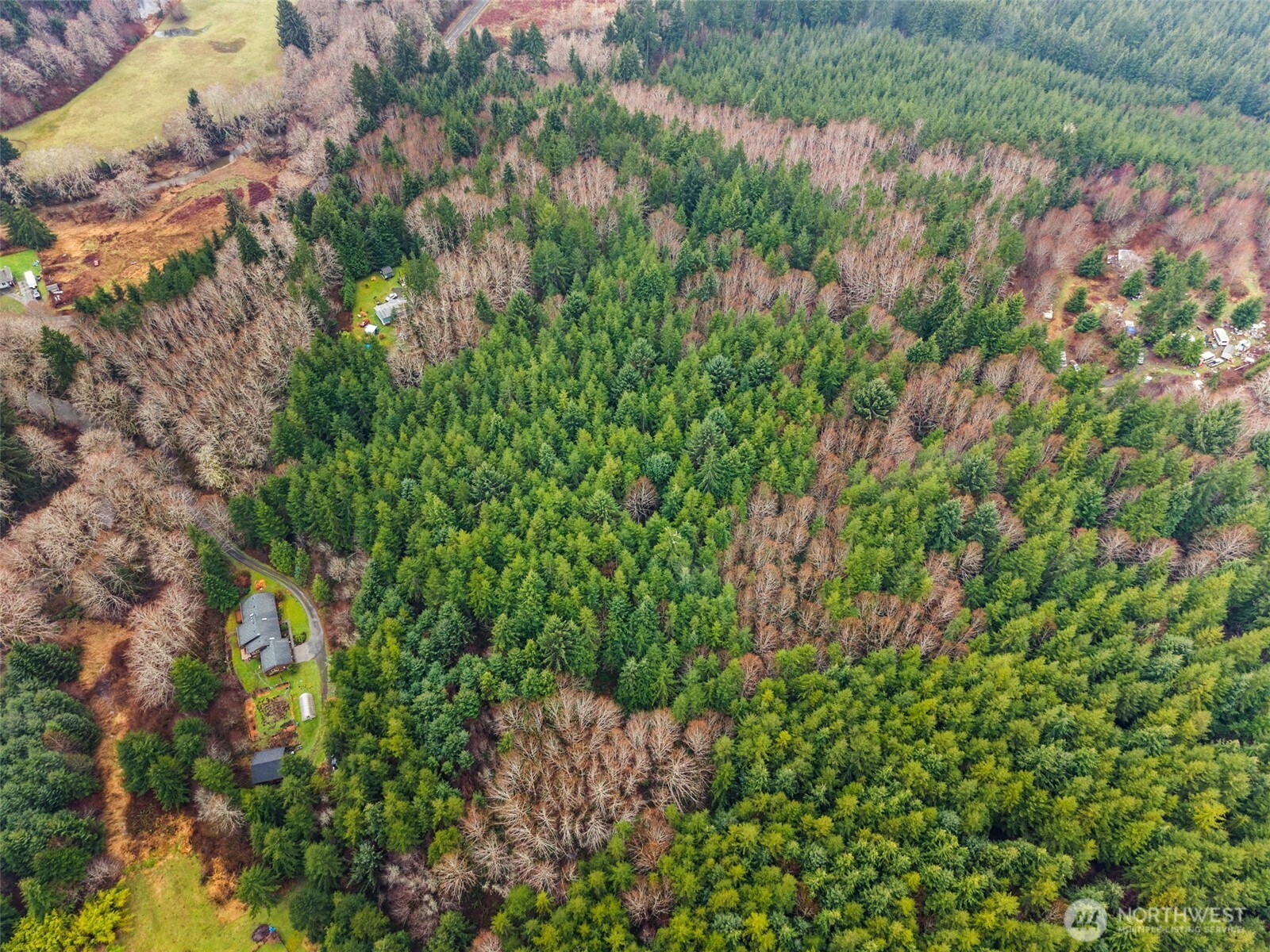 233 Smith Creek Road Raymond, WA 98577 - Photo 5 of 19 a view of a garden with plants