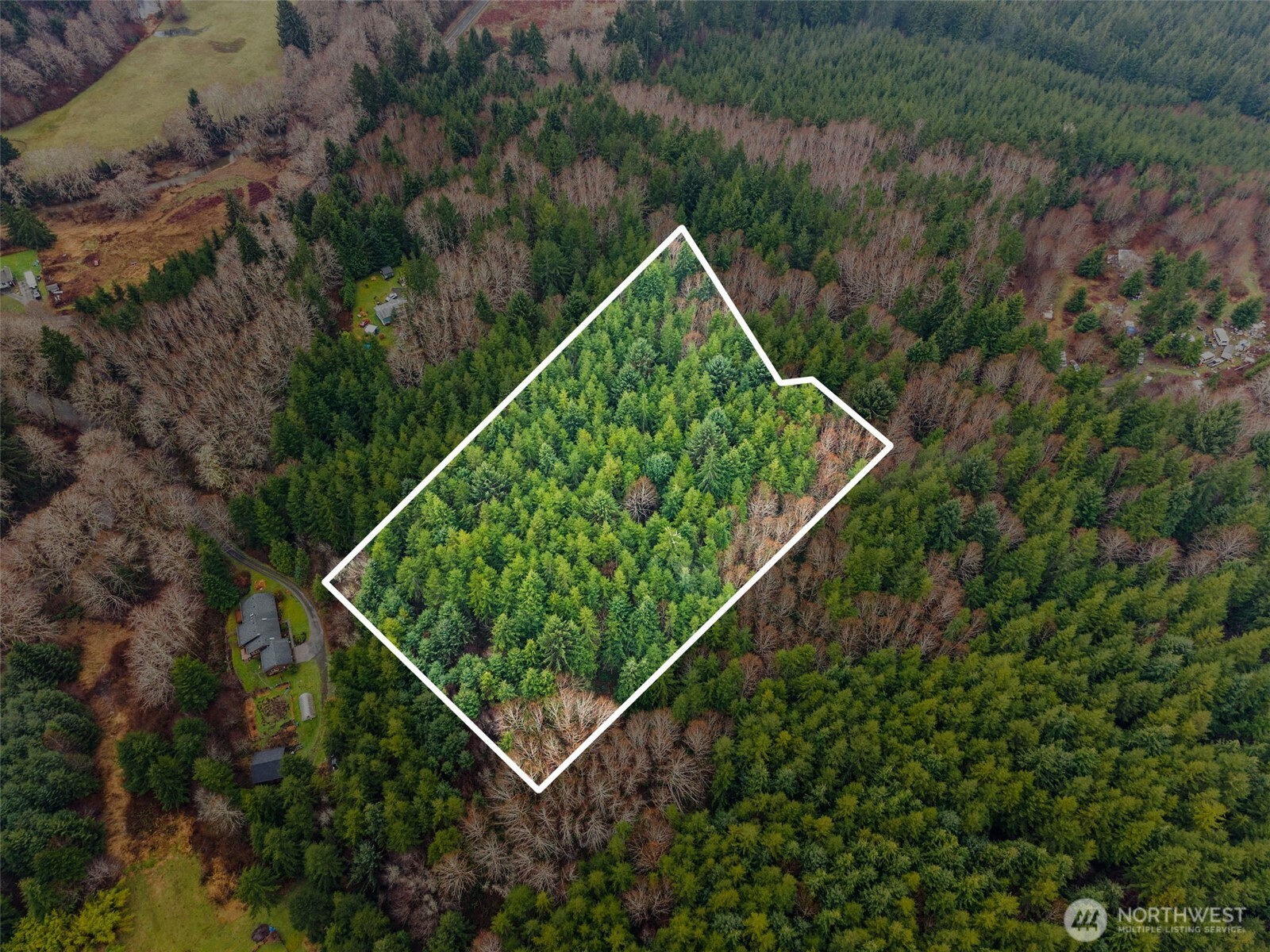 233 Smith Creek Road Raymond, WA 98577 - Photo 6 of 19 a view of a tennis court