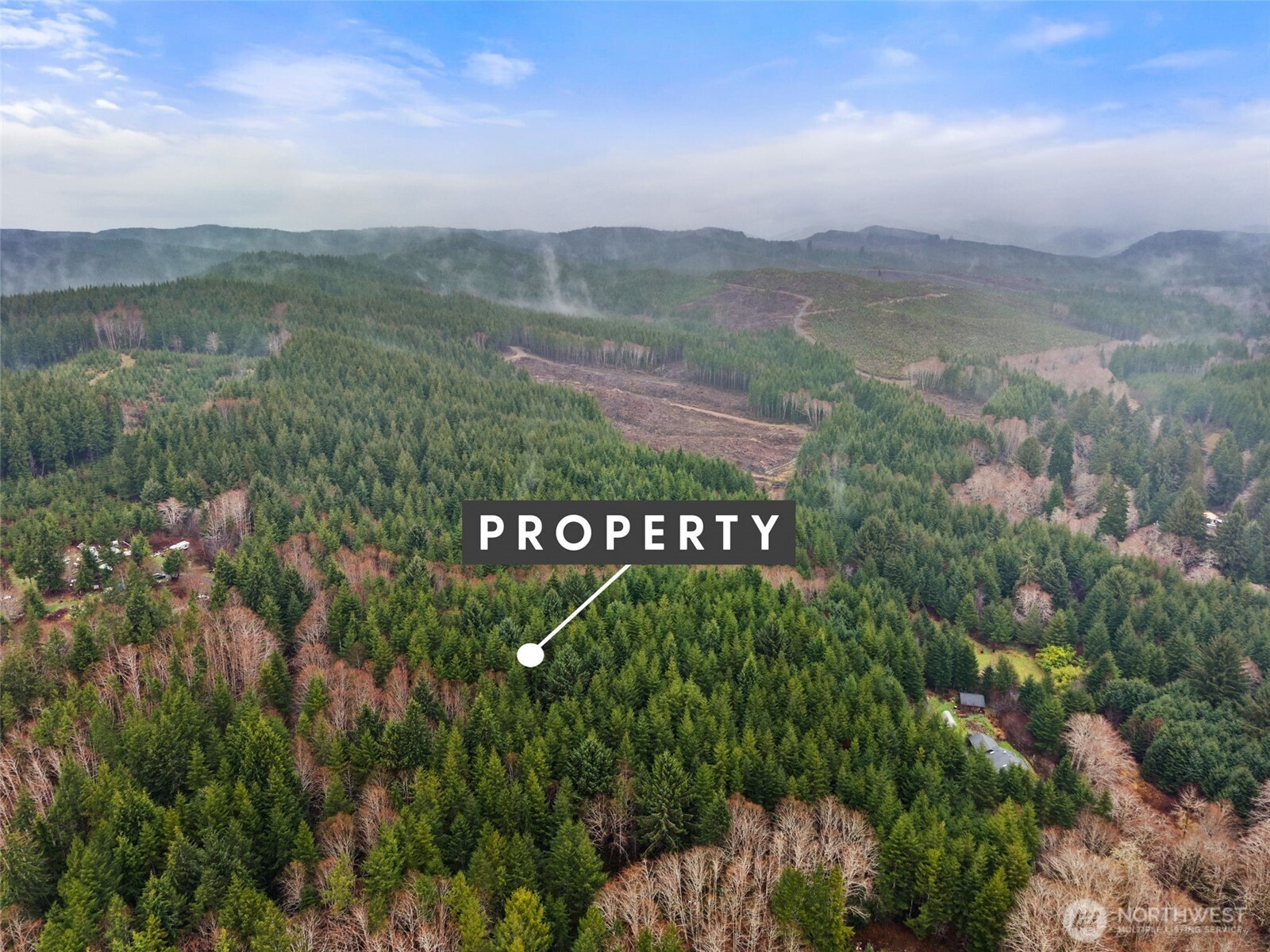 233 Smith Creek Road Raymond, WA 98577 - Photo 8 of 19 a view of a sign that is on a lush green field