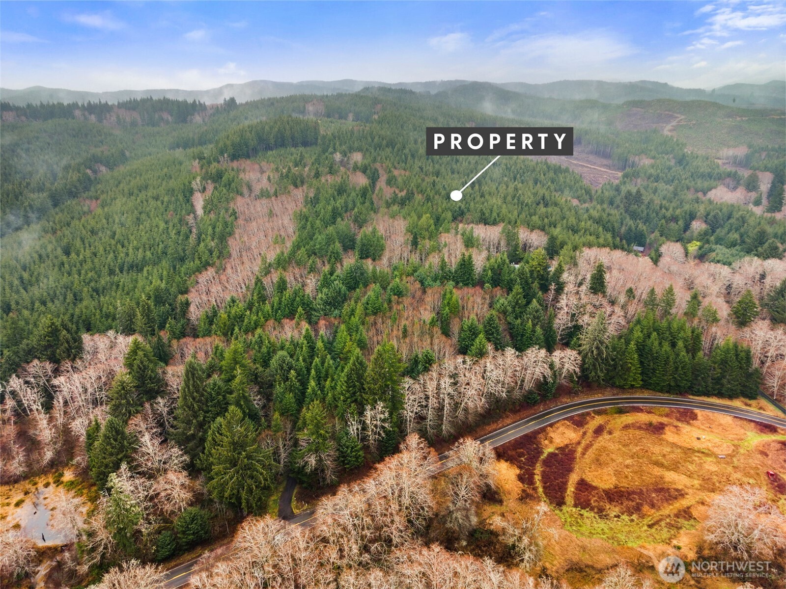 233 Smith Creek Road Raymond, WA 98577 - Photo 10 of 19 a view of a park with a yard