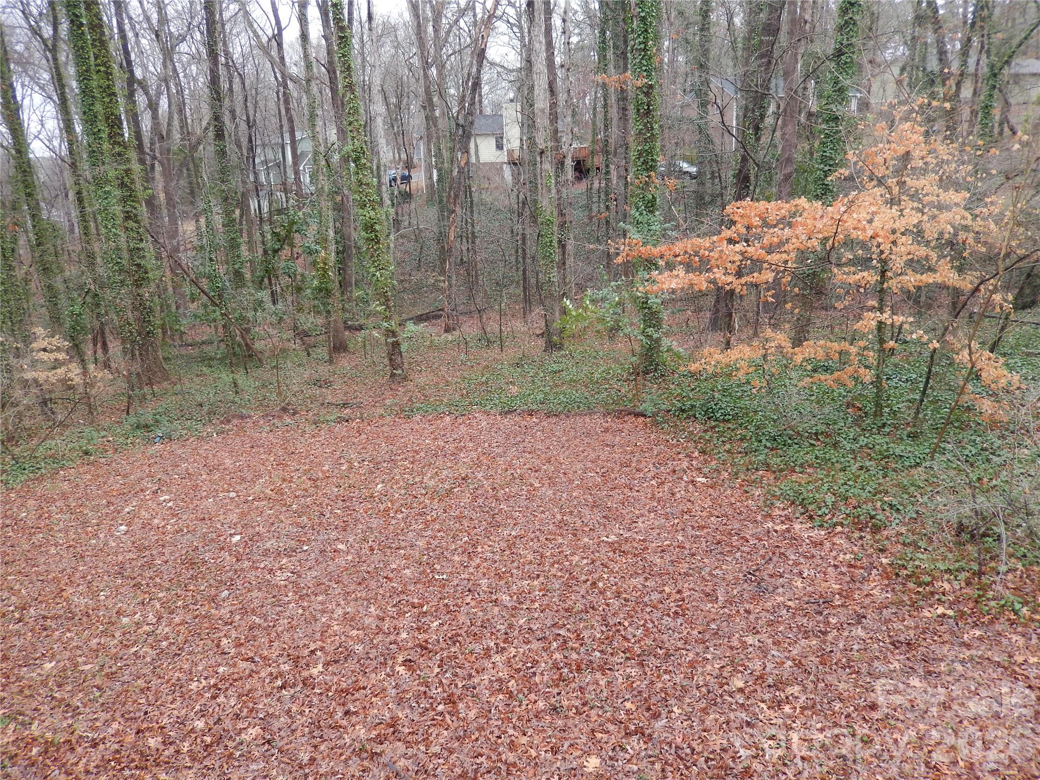 547 Brent Road Raleigh, NC 27606 - Photo 14 of 15 a view of a yard with trees
