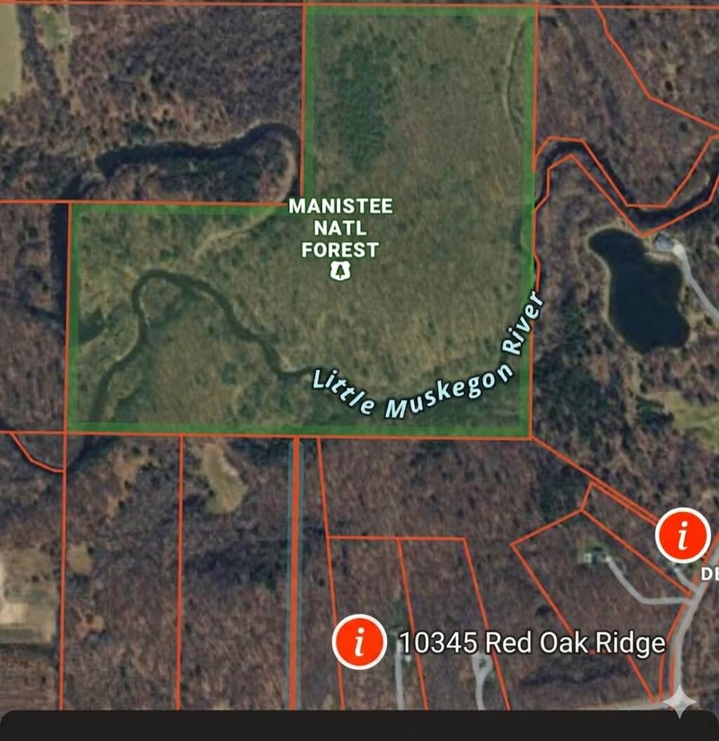 10345 Red Oak Ridge Howard City, MI 49329 - Photo 80 of 80 Area boundary map